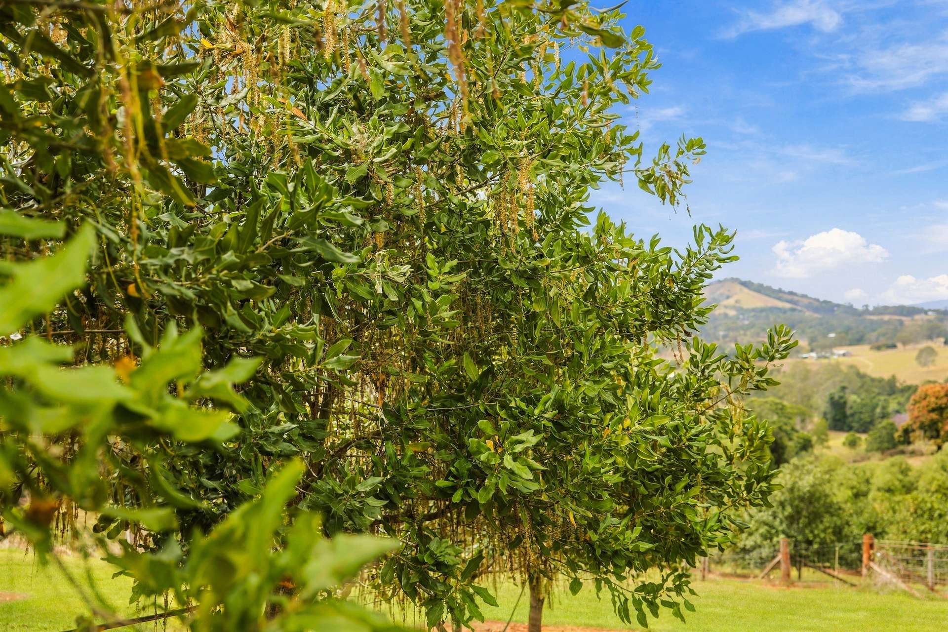 42 Red Gully Road, Amamoor For Sale by Farmbuy.com - image 29