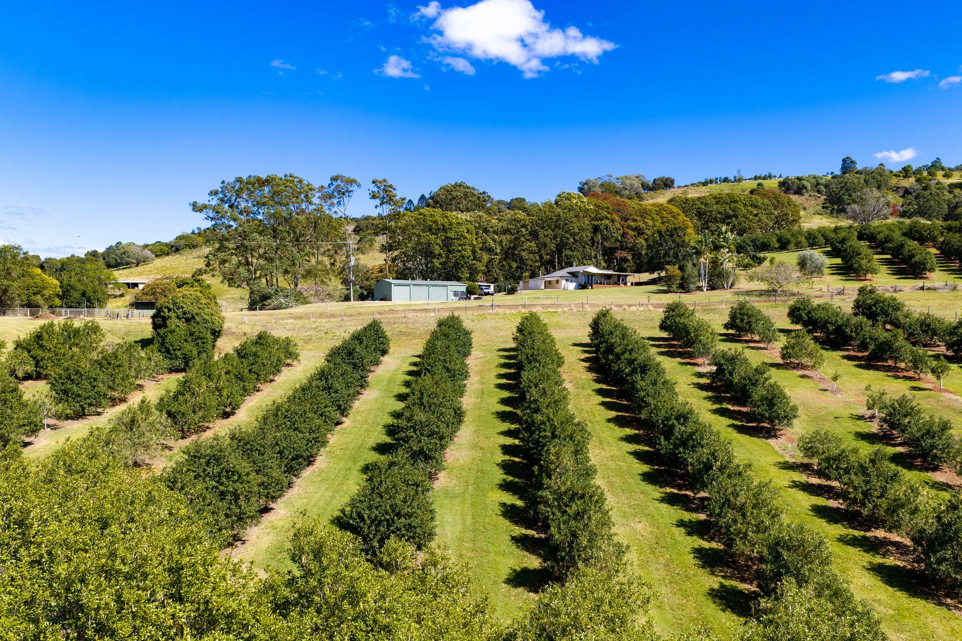 42 Red Gully Road, Amamoor For Sale by Farmbuy.com - image 31