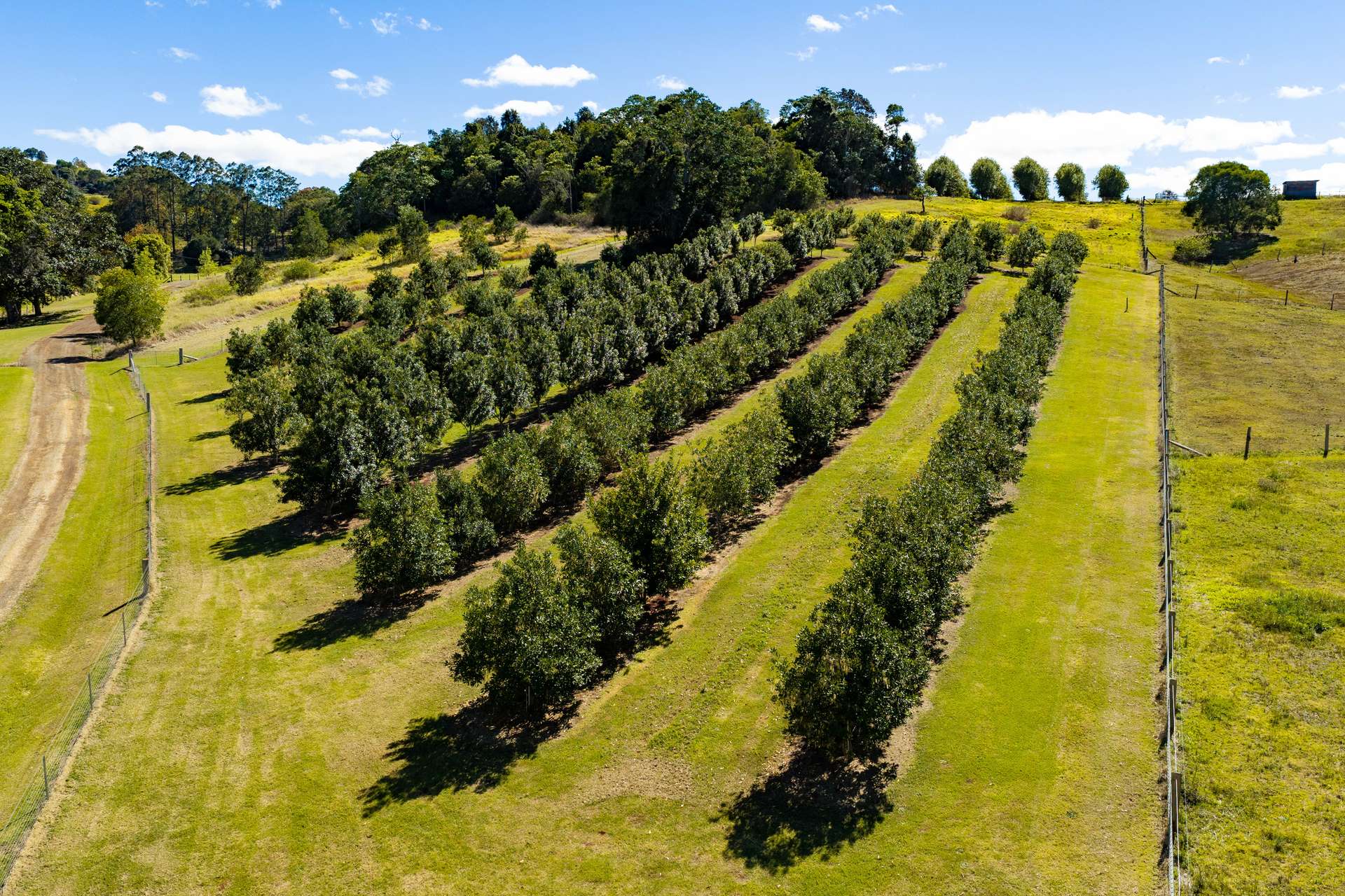 42 Red Gully Road, Amamoor For Sale by Farmbuy.com - image 34