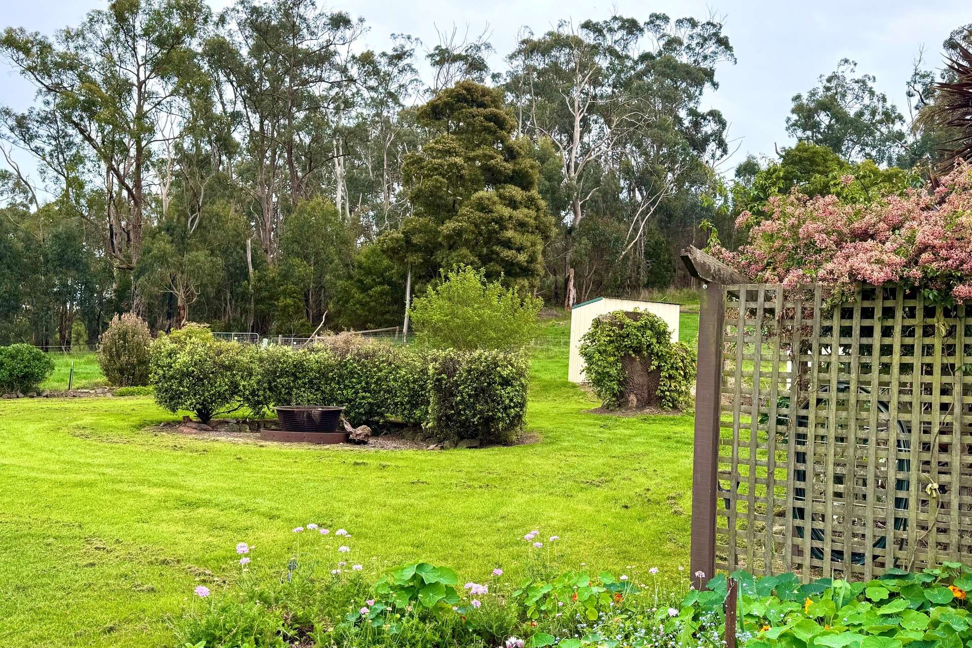 42 Floyds Road, Scotts Creek For Sale by Farmbuy.com - image 9