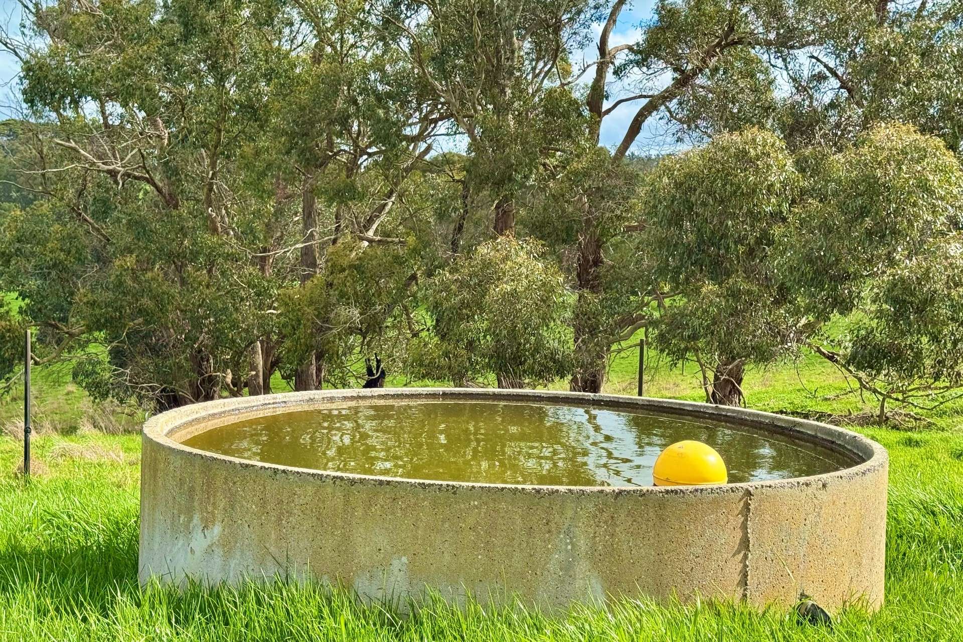 42 Floyds Road, Scotts Creek For Sale by Farmbuy.com - image 22