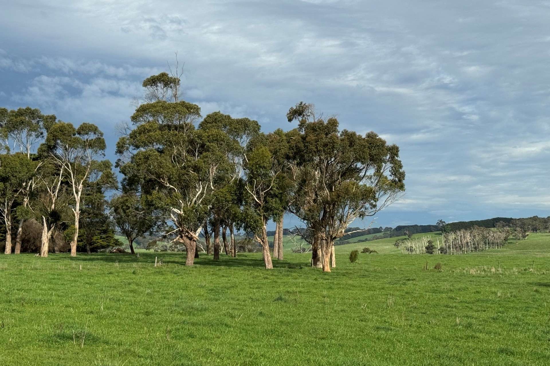 42 Floyds Road, Scotts Creek For Sale by Farmbuy.com - image 5