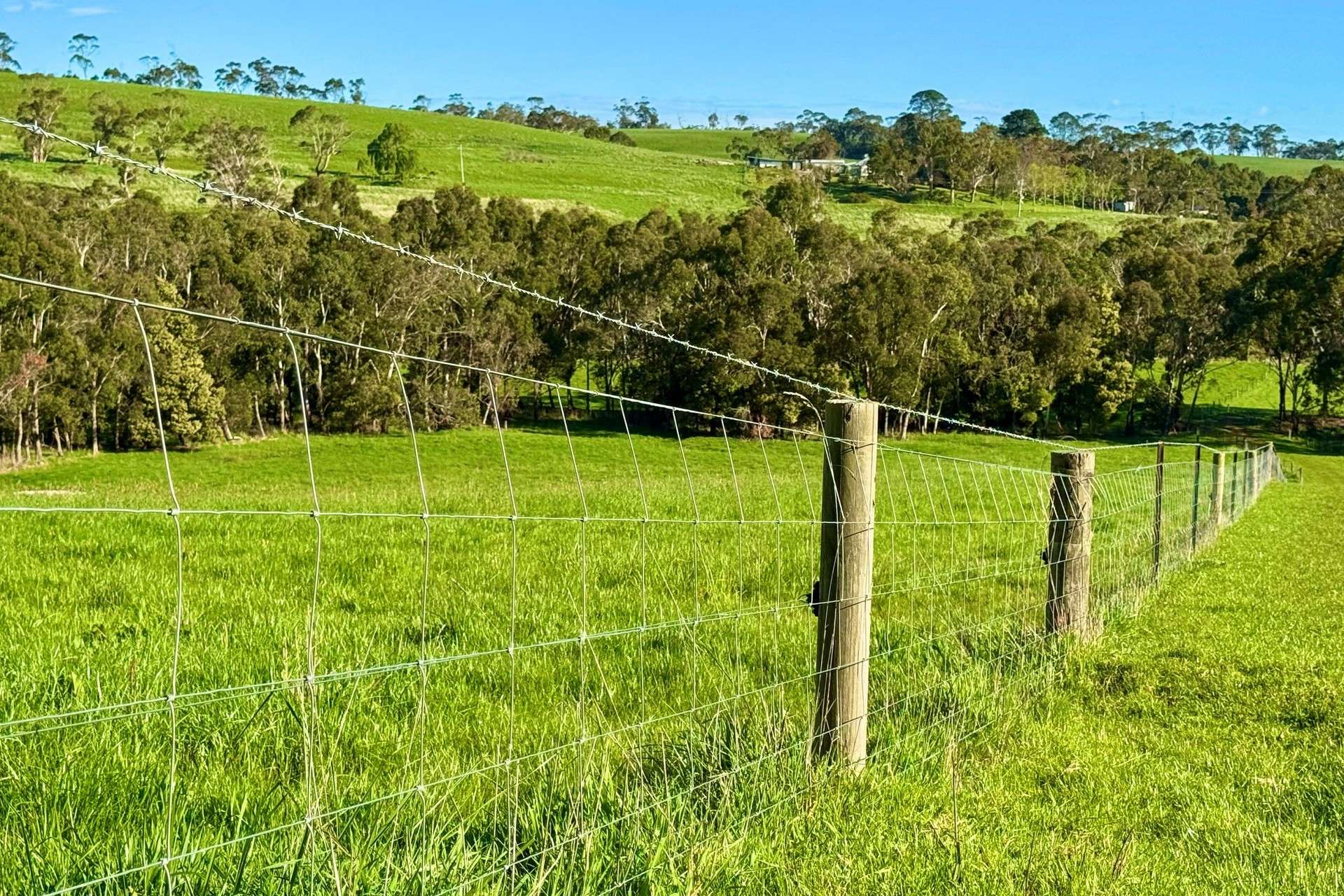 42 Floyds Road, Scotts Creek For Sale by Farmbuy.com - image 3