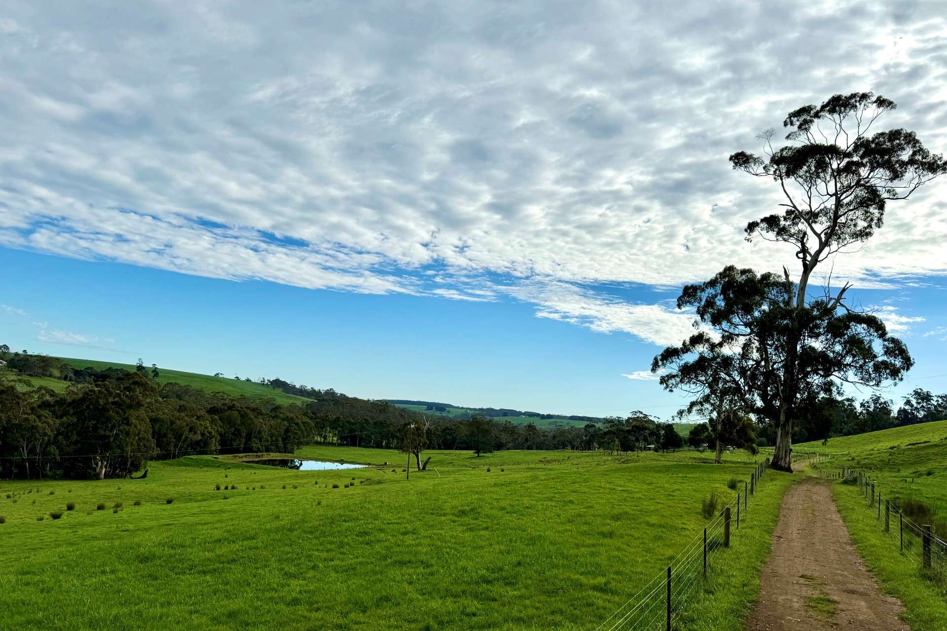 42 Floyds Road, Scotts Creek For Sale by Farmbuy.com - image 12