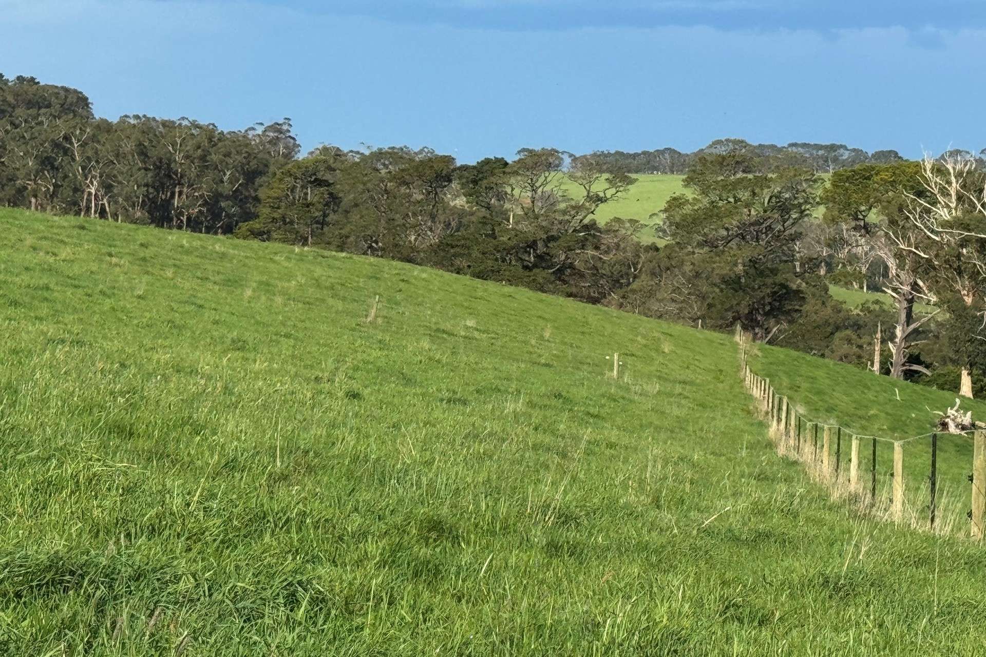 42 Floyds Road, Scotts Creek For Sale by Farmbuy.com - image 6