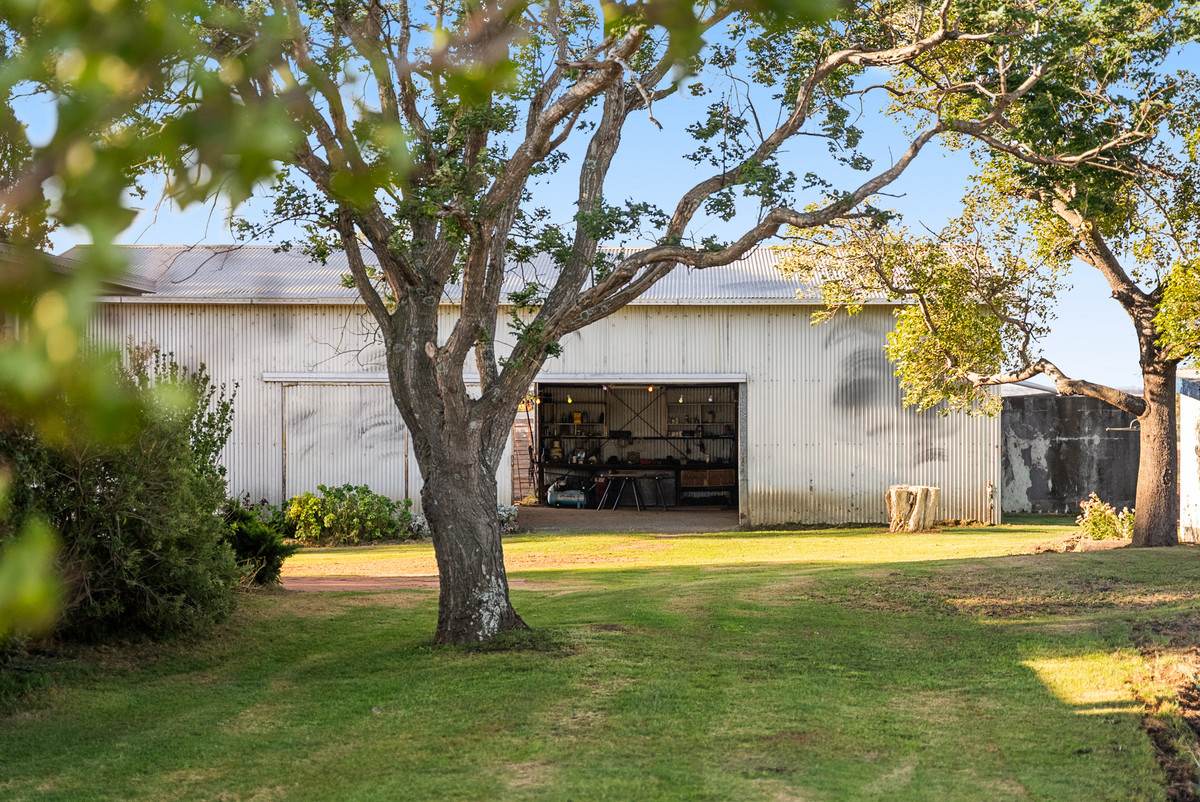 478 Willowvale Road, Willowvale For Sale by Farmbuy.com - image 4