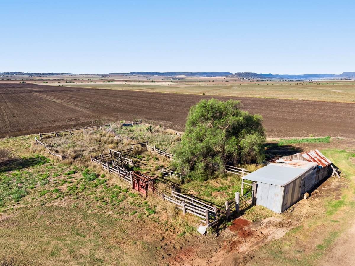 478 Willowvale Road, Willowvale For Sale by Farmbuy.com - image 9
