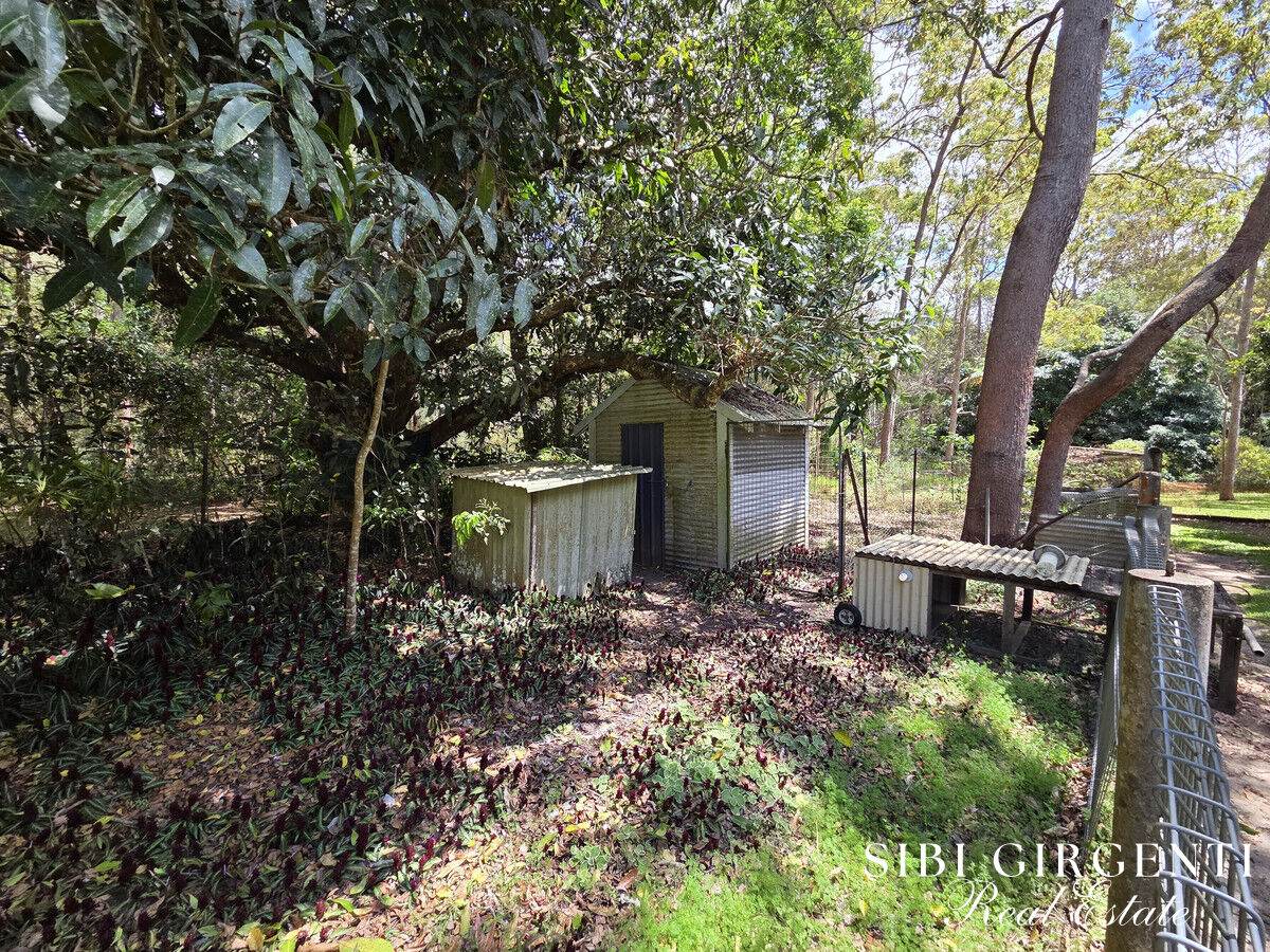 239 Hemmings Lane, Upper Barron For Sale by Farmbuy.com - image 29