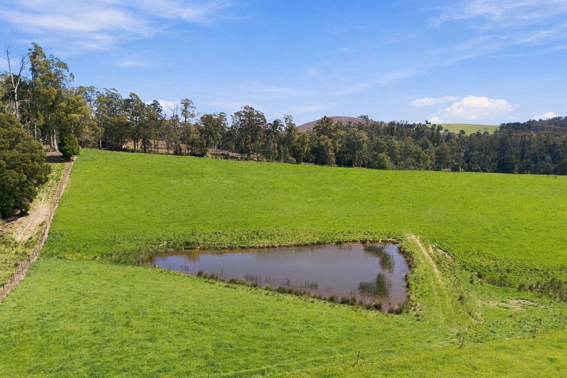 144 Burns Road, Wyena For Sale by Farmbuy.com - image 24