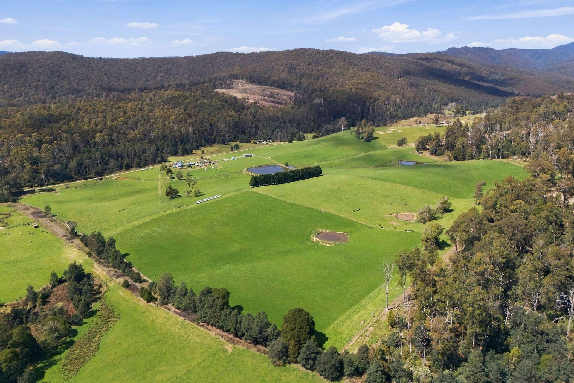 144 Burns Road, Wyena For Sale by Farmbuy.com - image 26