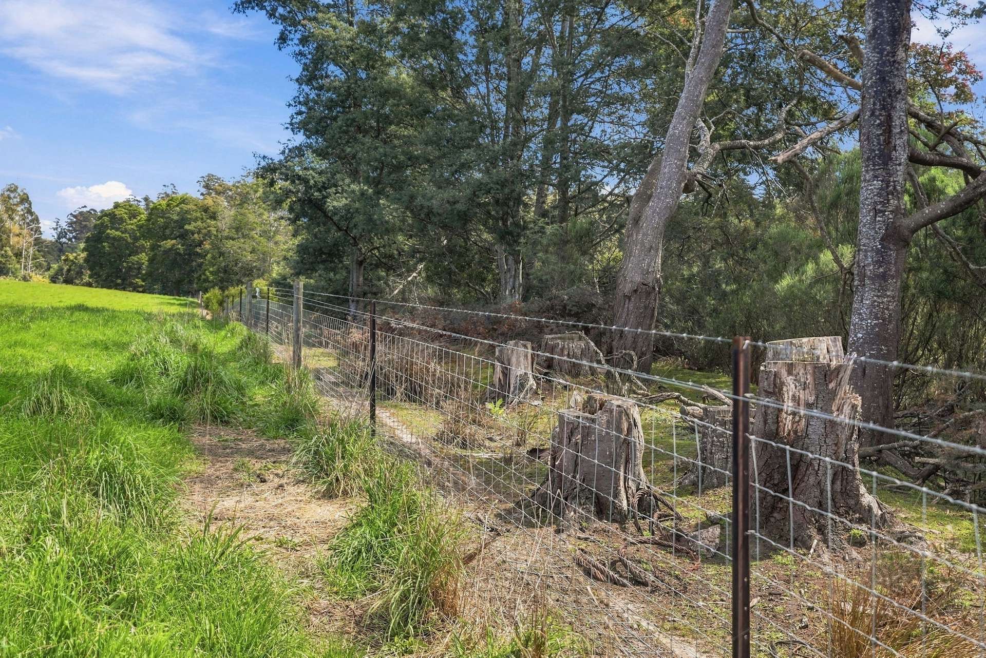 144 Burns Road, Wyena For Sale by Farmbuy.com - image 20