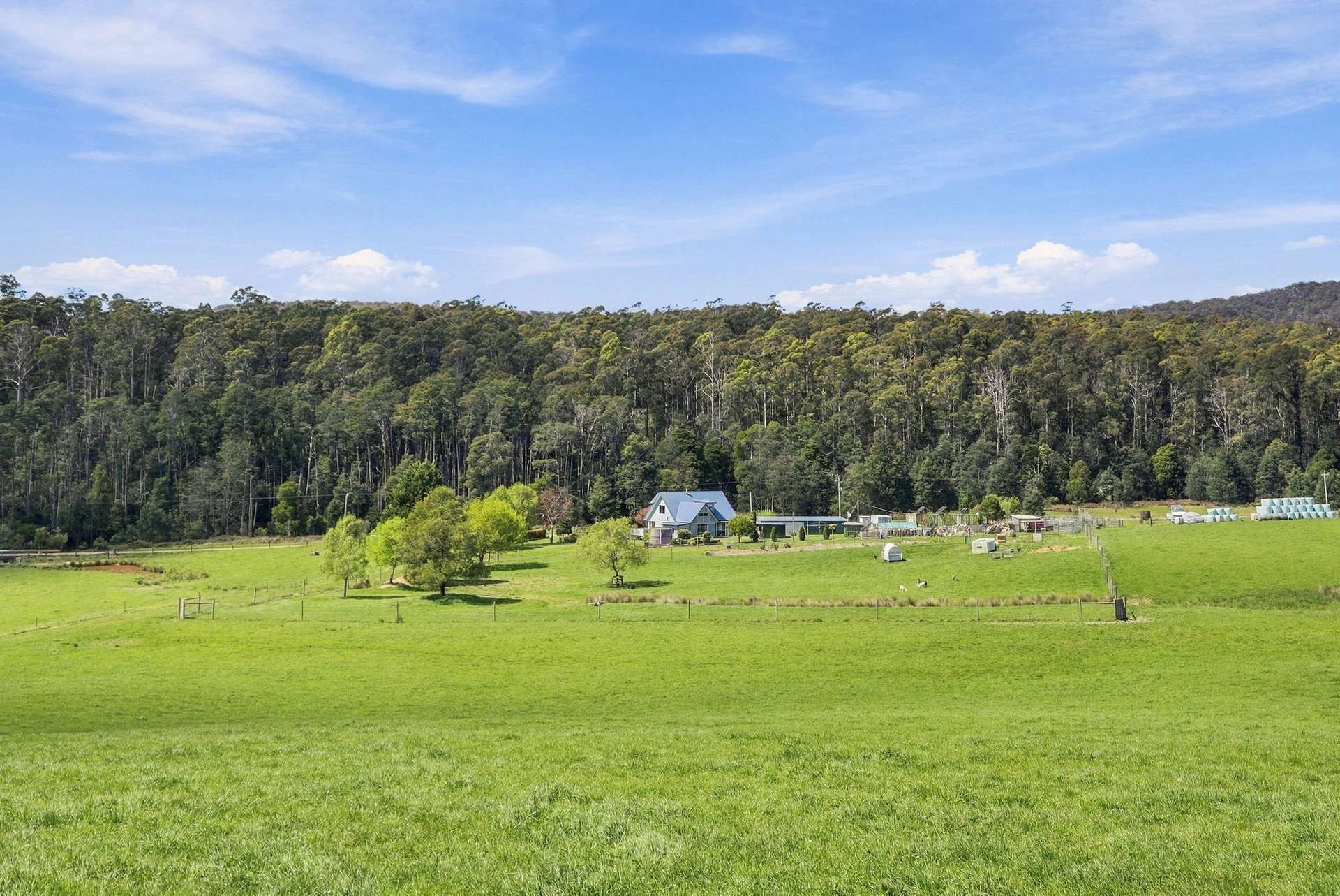 144 Burns Road, Wyena For Sale by Farmbuy.com - image 3