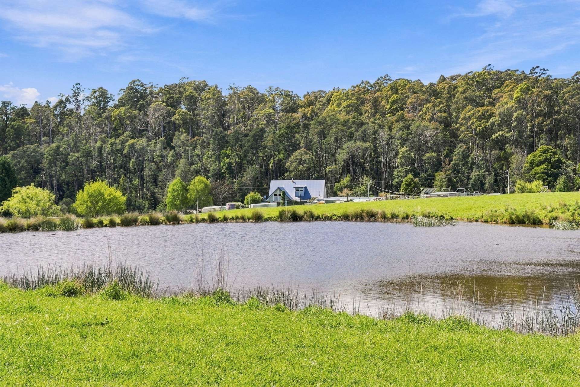 144 Burns Road, Wyena For Sale by Farmbuy.com - image 22