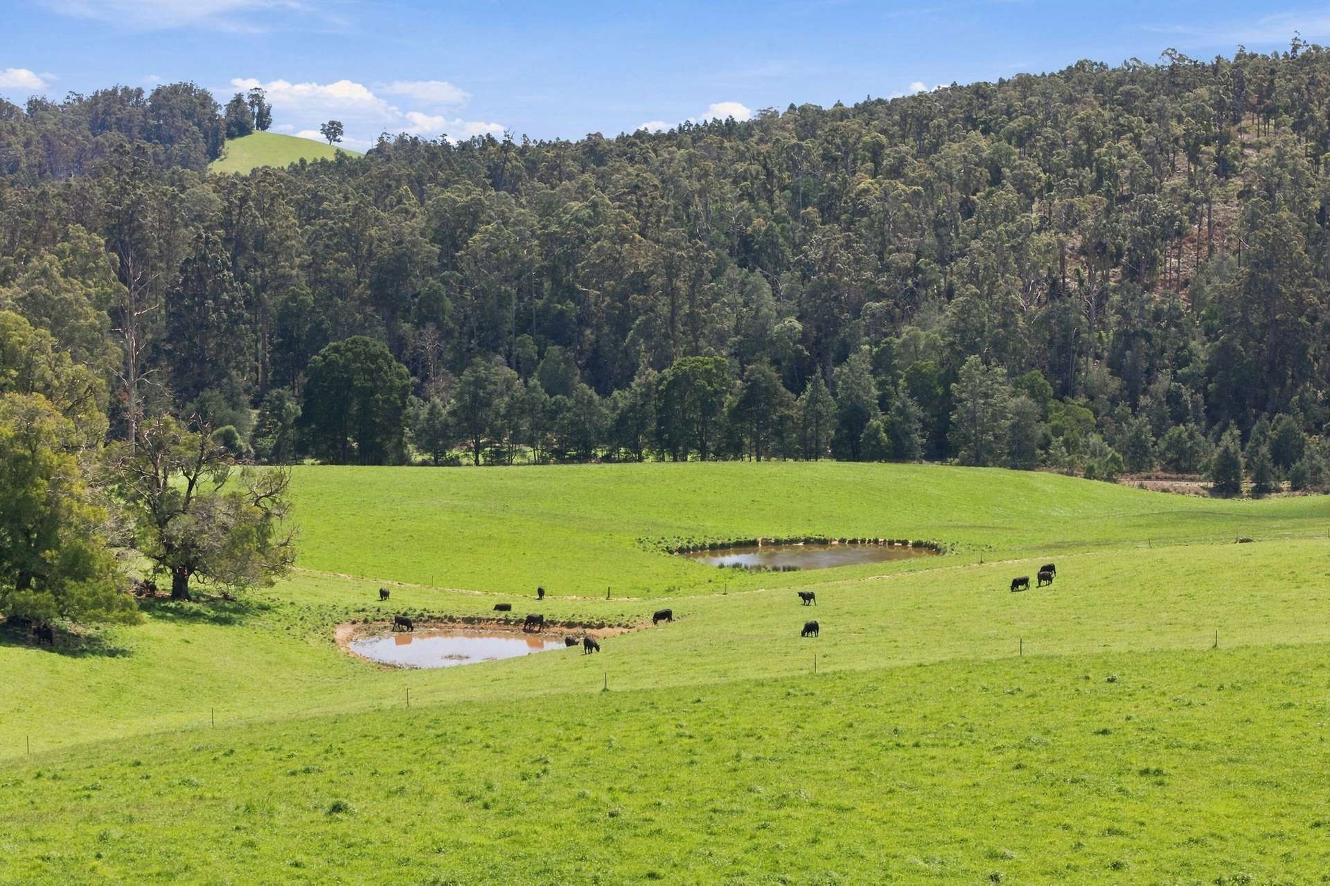 144 Burns Road, Wyena For Sale by Farmbuy.com - image 25
