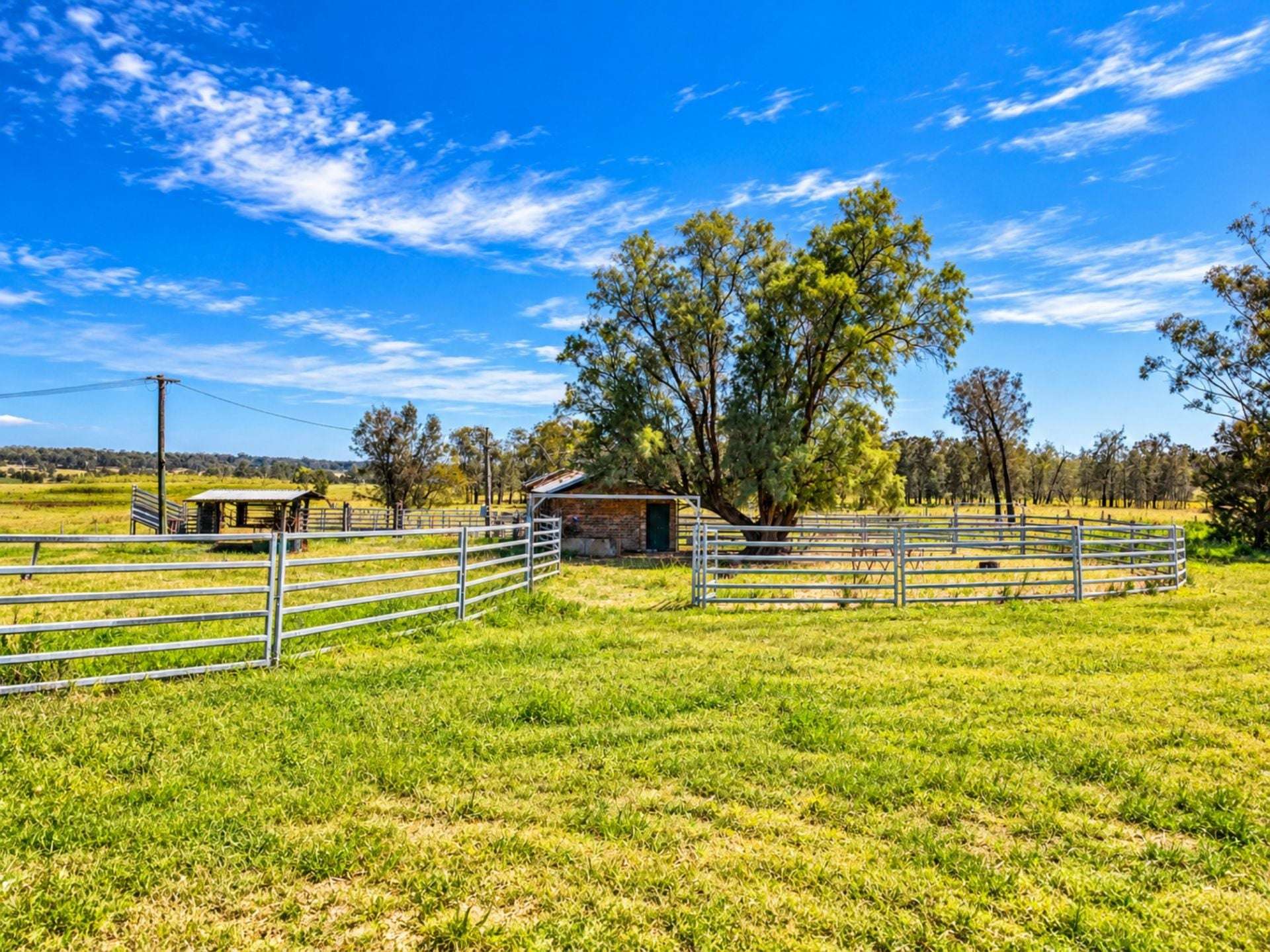 1465 Elderslie Road, Mitchells Flat For Sale by Farmbuy.com - image 32