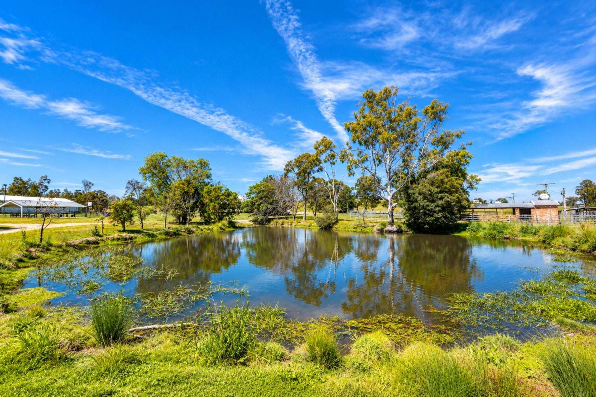 1465 Elderslie Road, Mitchells Flat For Sale by Farmbuy.com - image 31