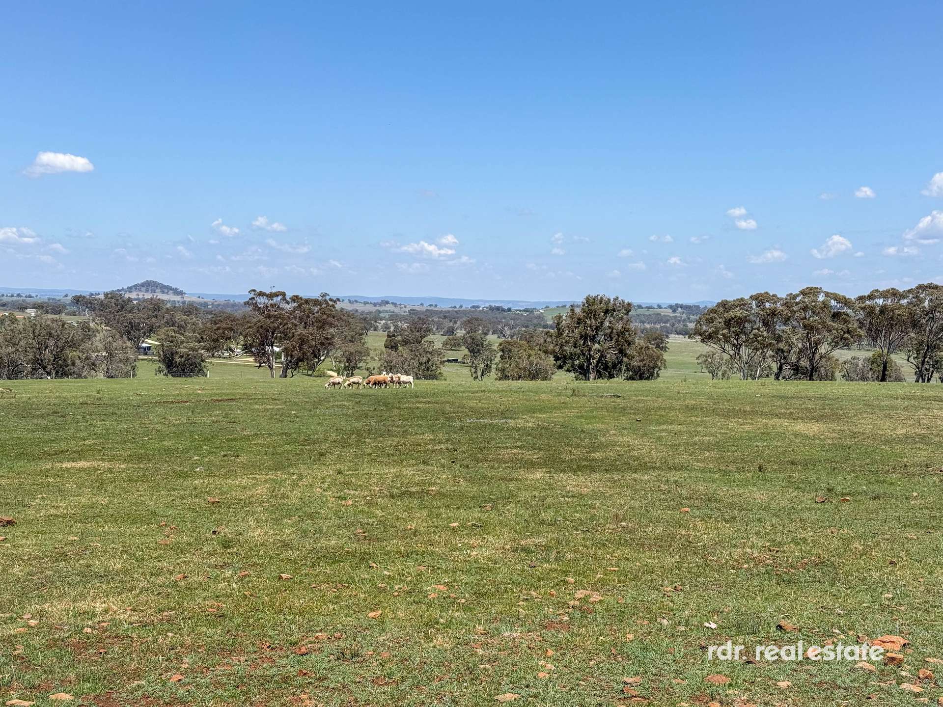 2898 Kings Plains Road, Inverell For Sale by Farmbuy.com - image 19