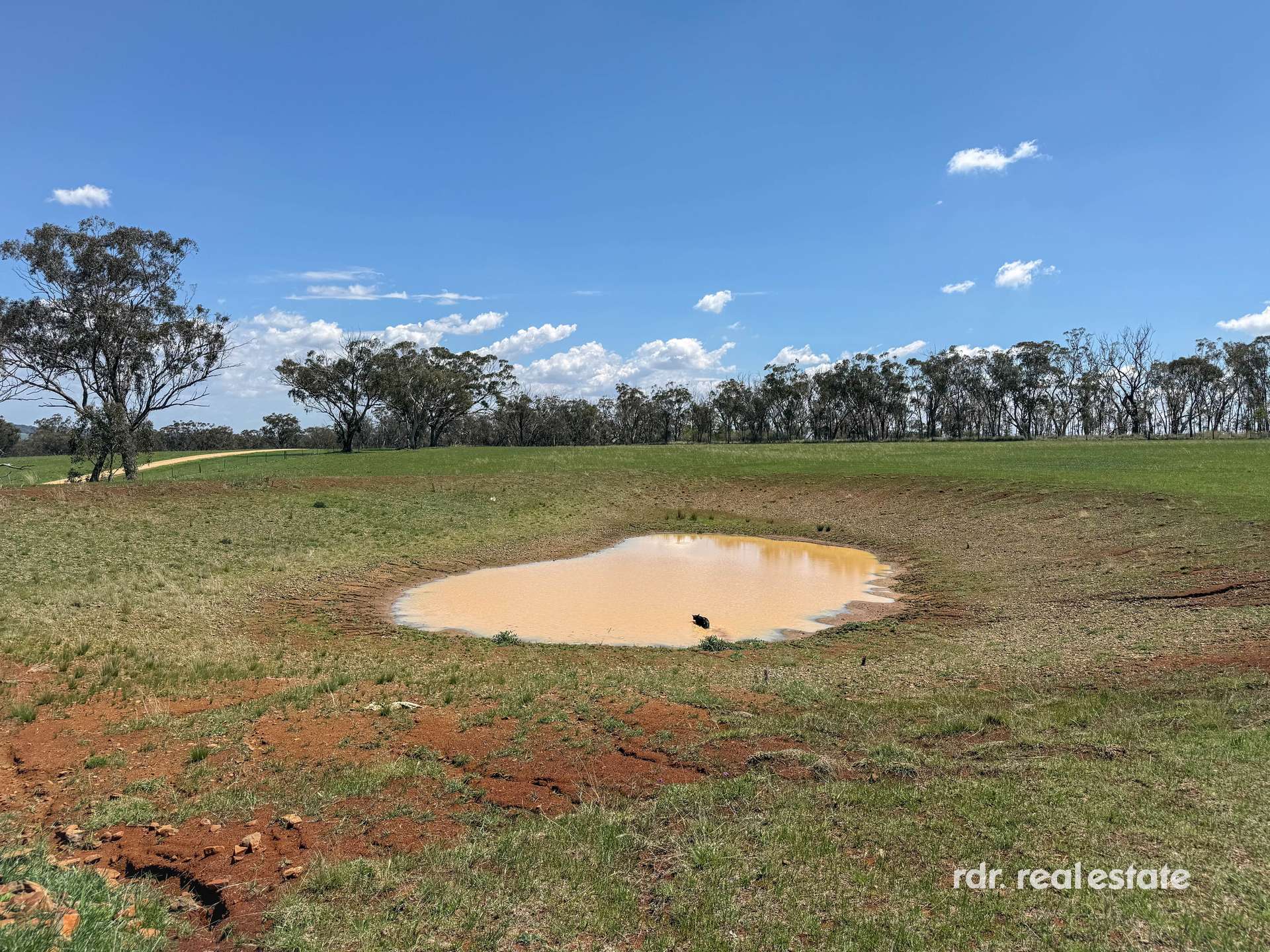 2898 Kings Plains Road, Inverell For Sale by Farmbuy.com - image 4