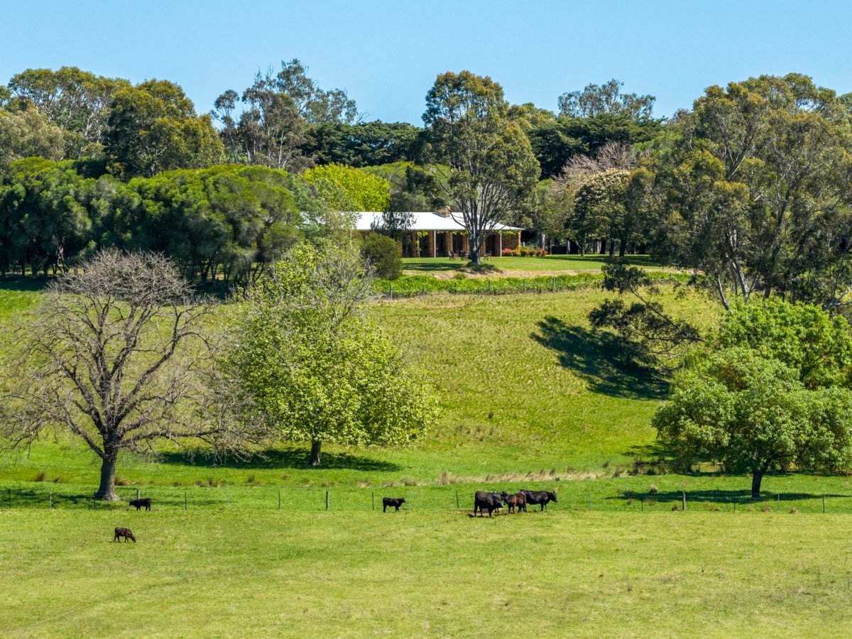 19 Main Road, Lindenow For Sale by Farmbuy.com - image 20