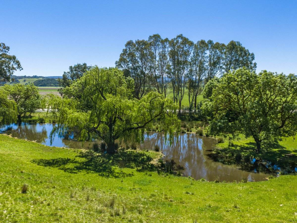 19 Main Road, Lindenow For Sale by Farmbuy.com - image 19