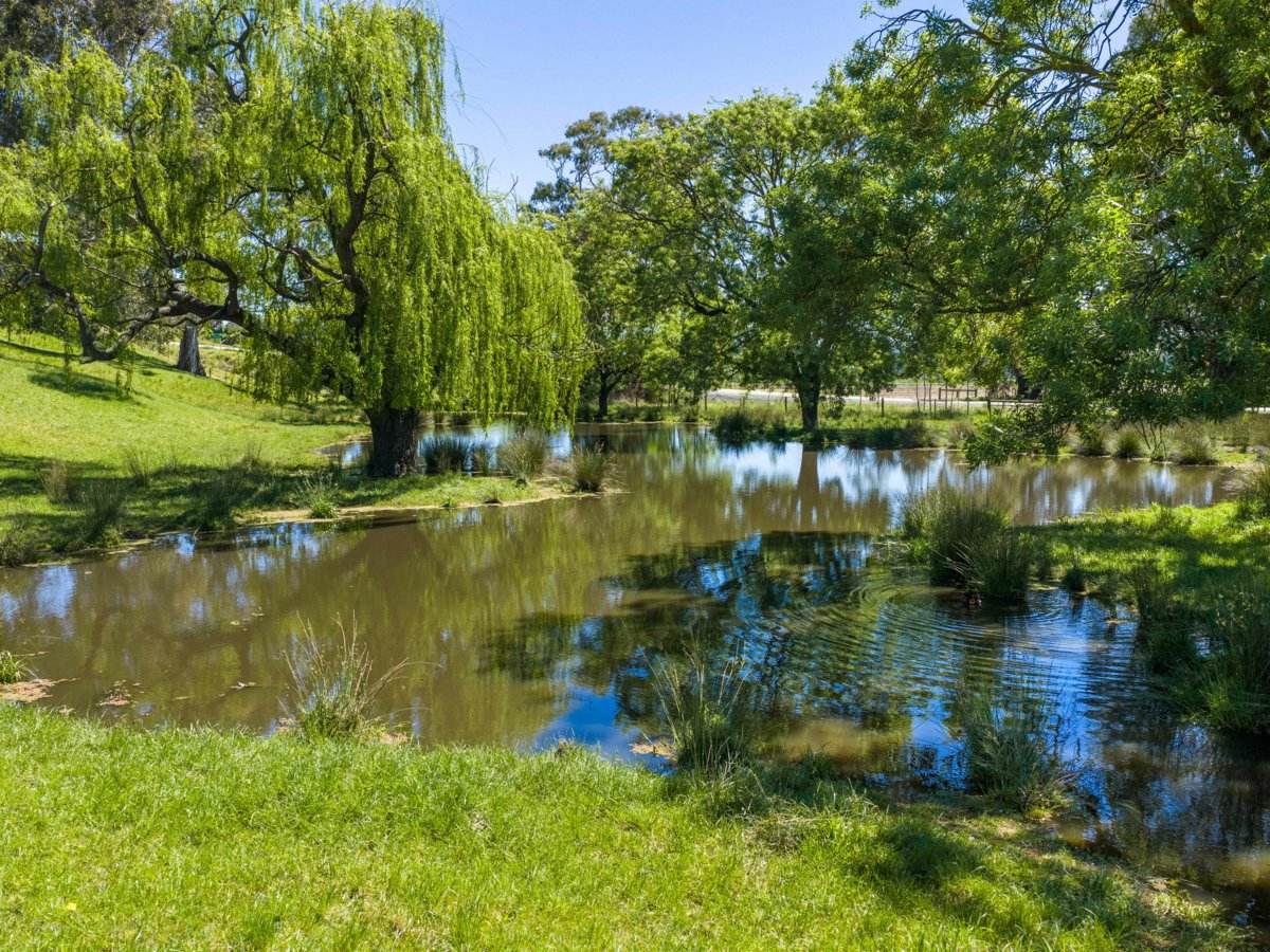 19 Main Road, Lindenow For Sale by Farmbuy.com - image 18