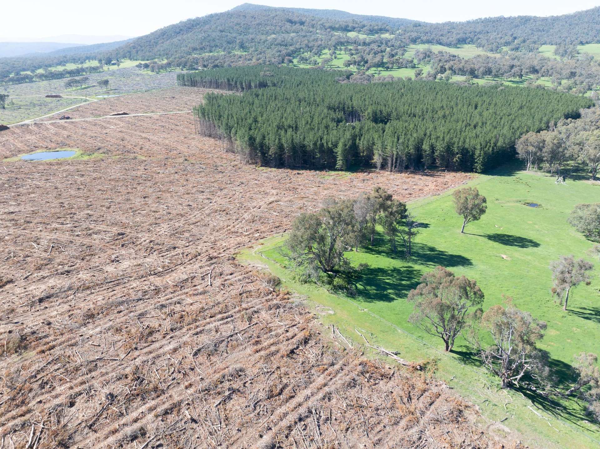 34 Ikes Mountain Road, Mannus For Sale by Farmbuy.com - image 3