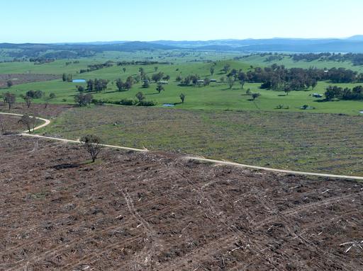 Farm For Sale - NSW - Mannus - 2653 - REPLANT FORESTRY OPPORTUNITY OR LAND CONVERSION 