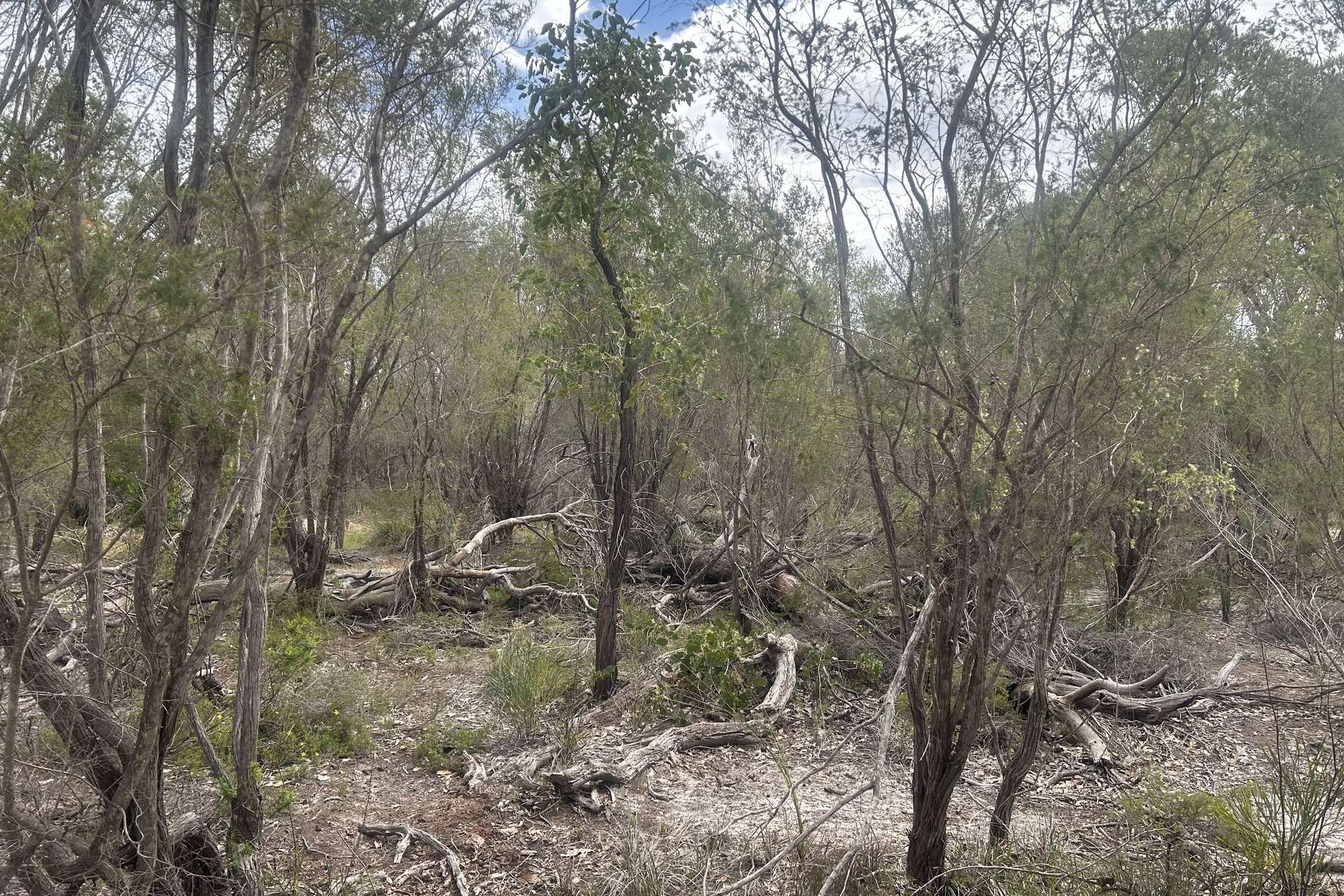 31 Silvereye Road, North Boyanup For Sale by Farmbuy.com - image 3