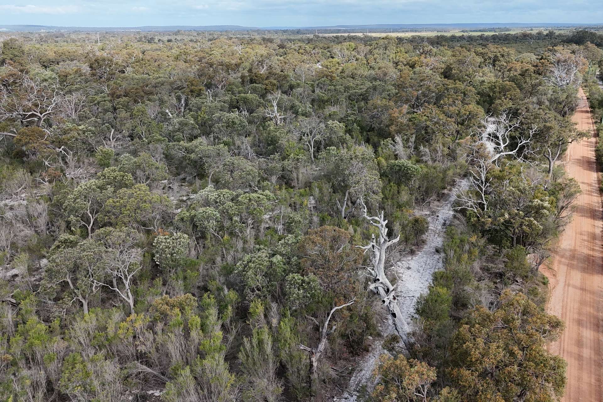 31 Silvereye Road, North Boyanup For Sale by Farmbuy.com - image 9