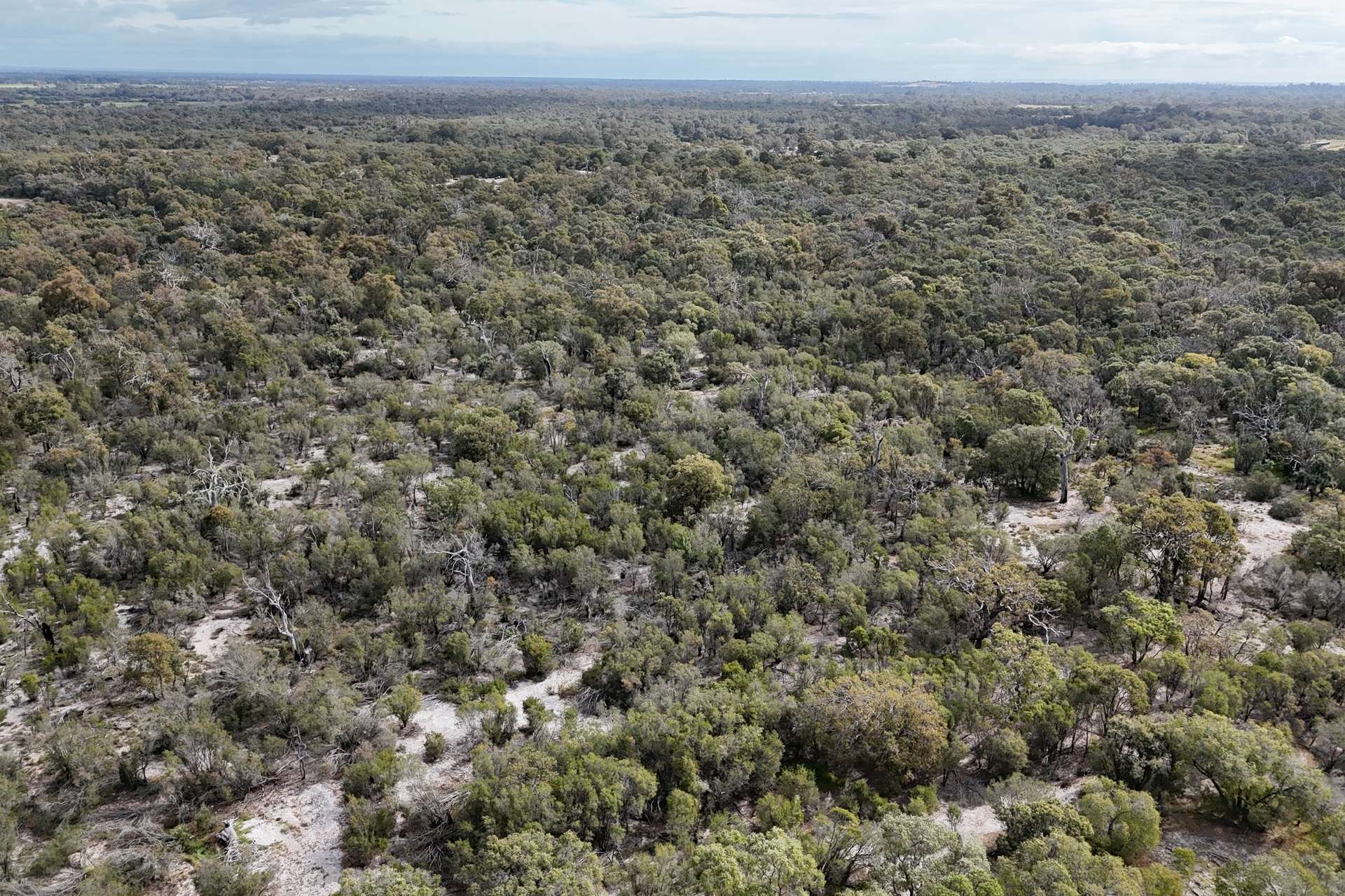 31 Silvereye Road, North Boyanup For Sale by Farmbuy.com - image 7