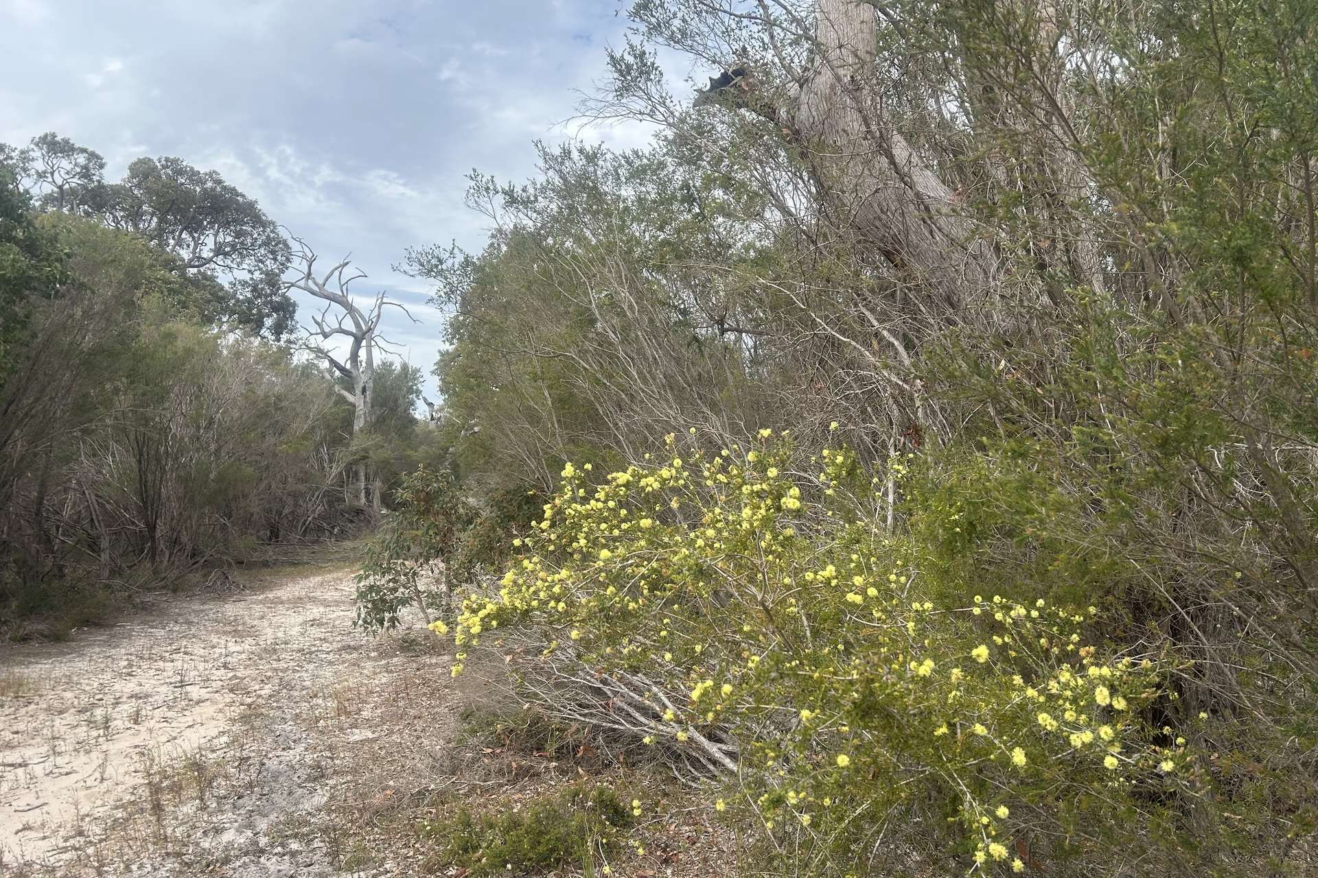31 Silvereye Road, North Boyanup For Sale by Farmbuy.com - image 1