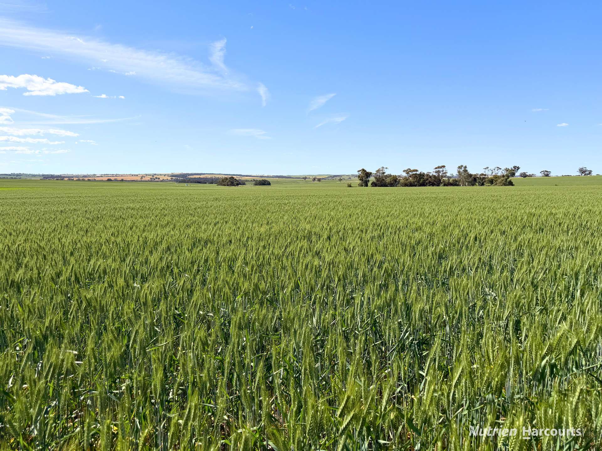 "Mirrabinda" Lot 3882 Brooksbank Road, Cunjardine Auction by Farmbuy.com - image 13