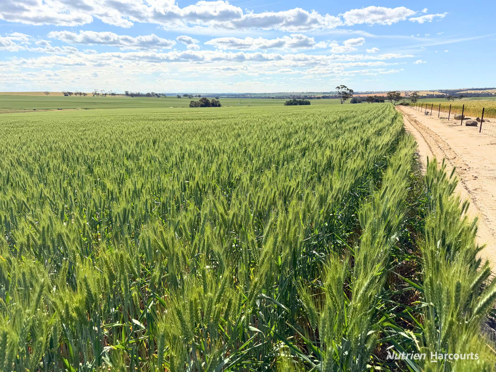 "Mirrabinda" Lot 3882 Brooksbank Road, Cunjardine Auction by Farmbuy.com - image 22