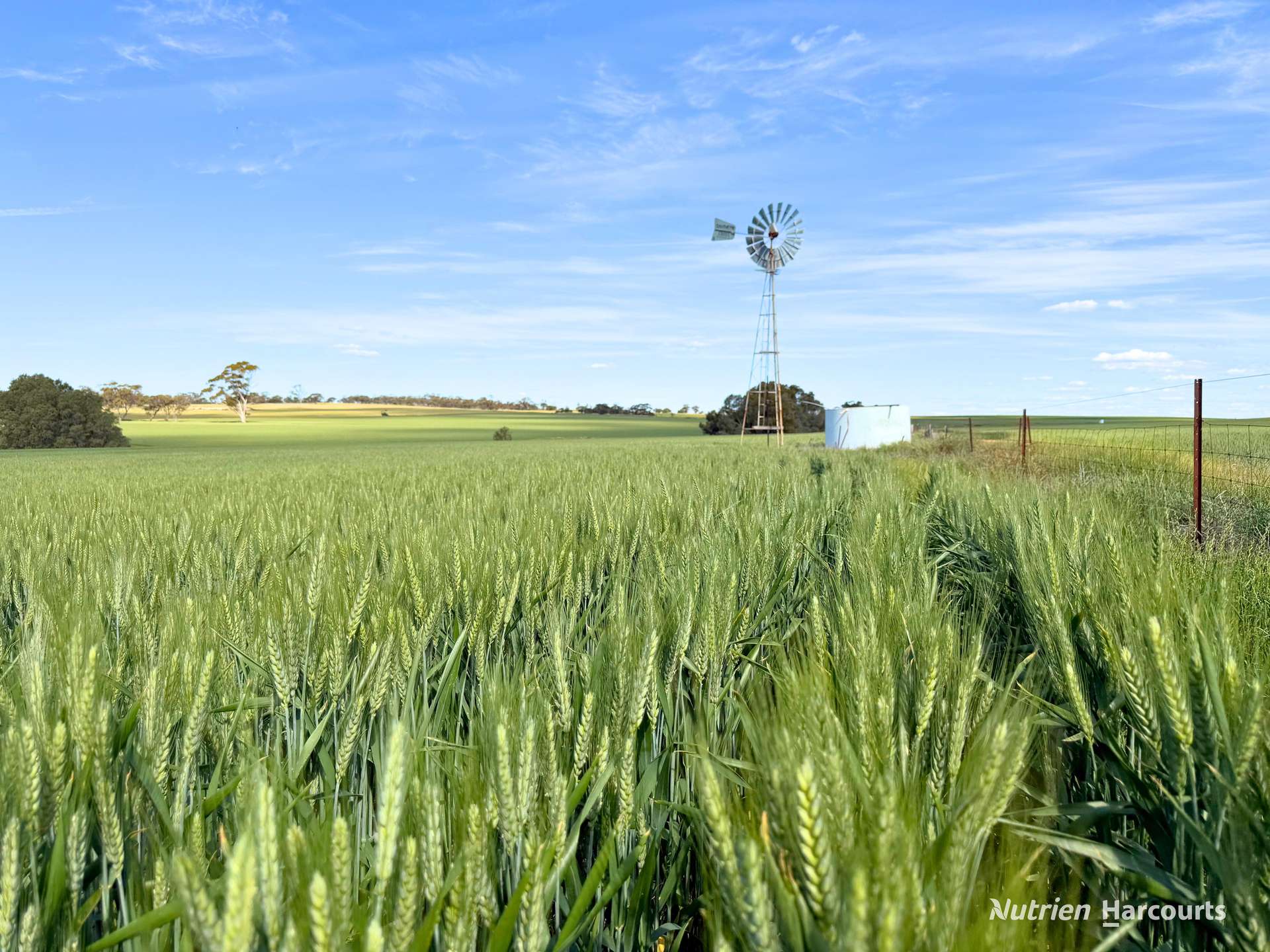 "Mirrabinda" Lot 3882 Brooksbank Road, Cunjardine Auction by Farmbuy.com - image 2
