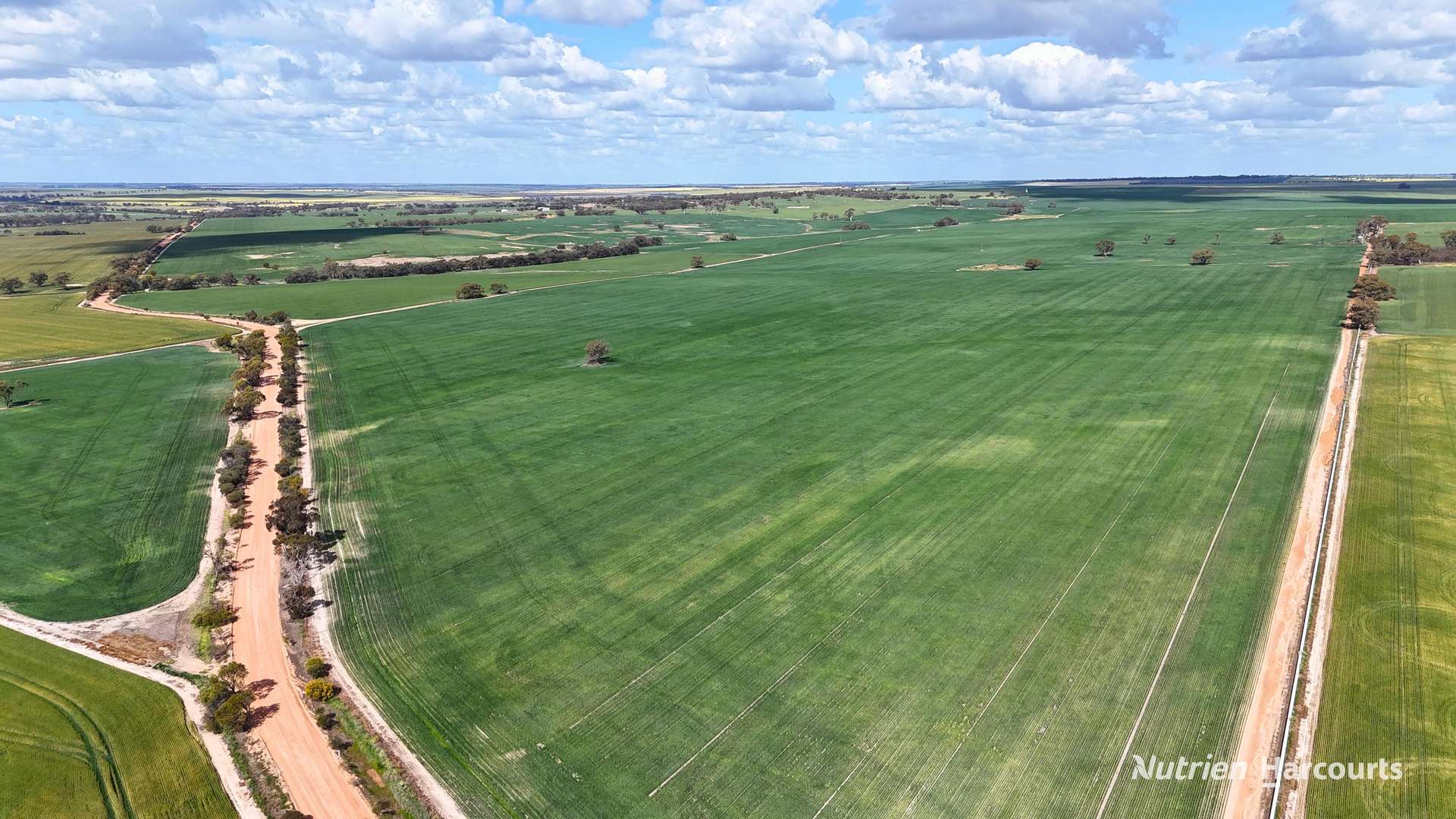 "Mirrabinda" Lot 3882 Brooksbank Road, Cunjardine Auction by Farmbuy.com - image 7