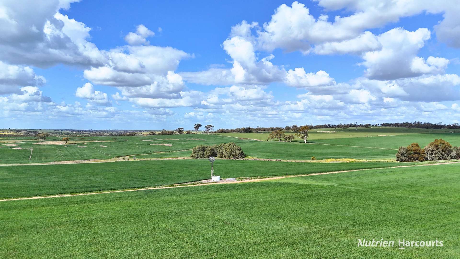 "Mirrabinda" Lot 3882 Brooksbank Road, Cunjardine Auction by Farmbuy.com - image 16