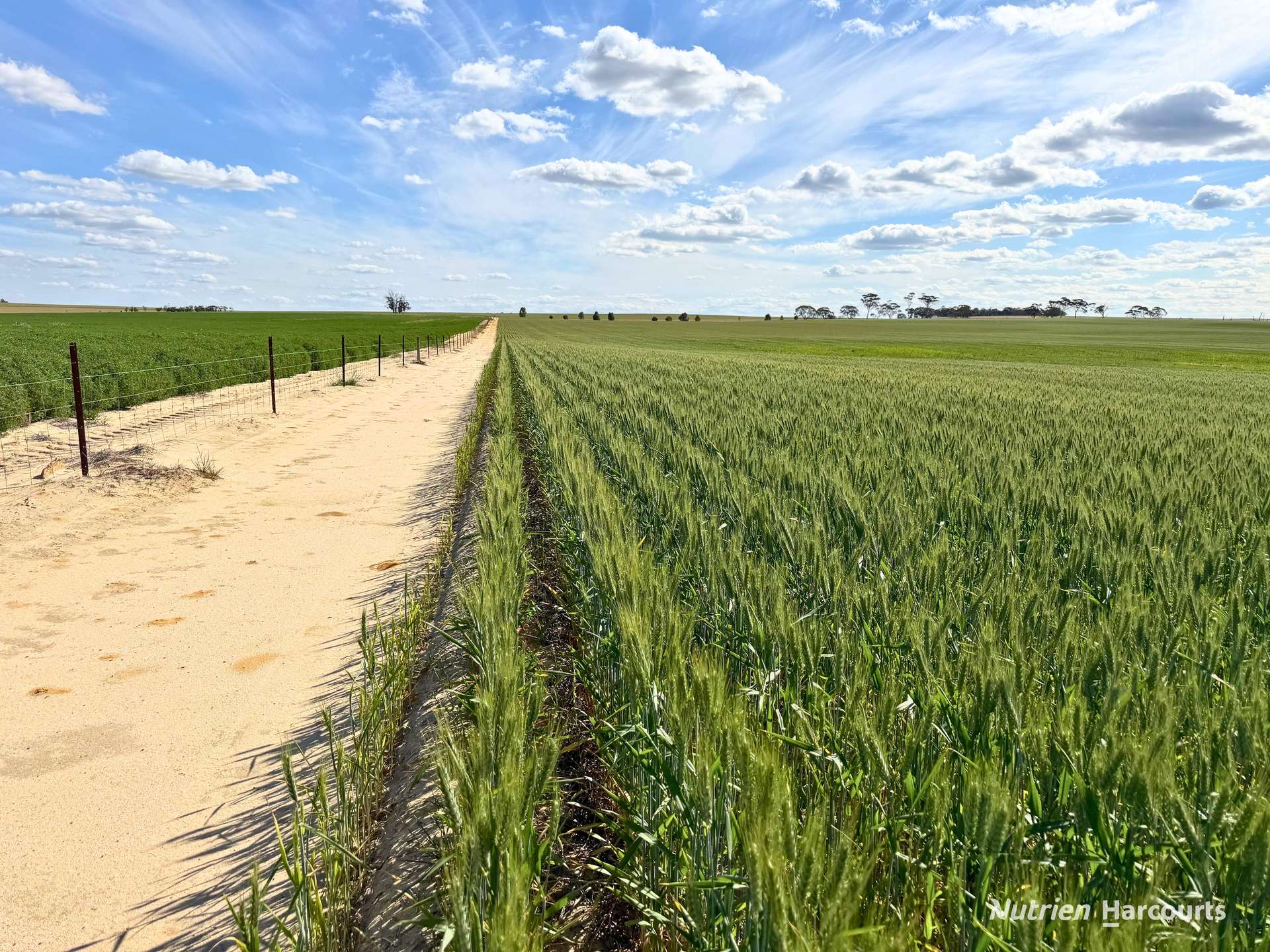 "Mirrabinda" Lot 3882 Brooksbank Road, Cunjardine Auction by Farmbuy.com - image 18