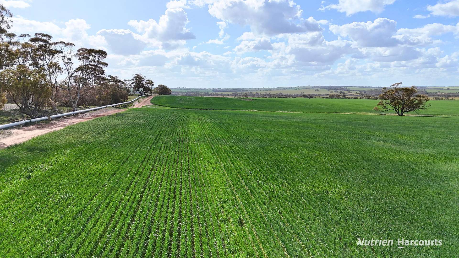 "Mirrabinda" Lot 3882 Brooksbank Road, Cunjardine Auction by Farmbuy.com - image 12