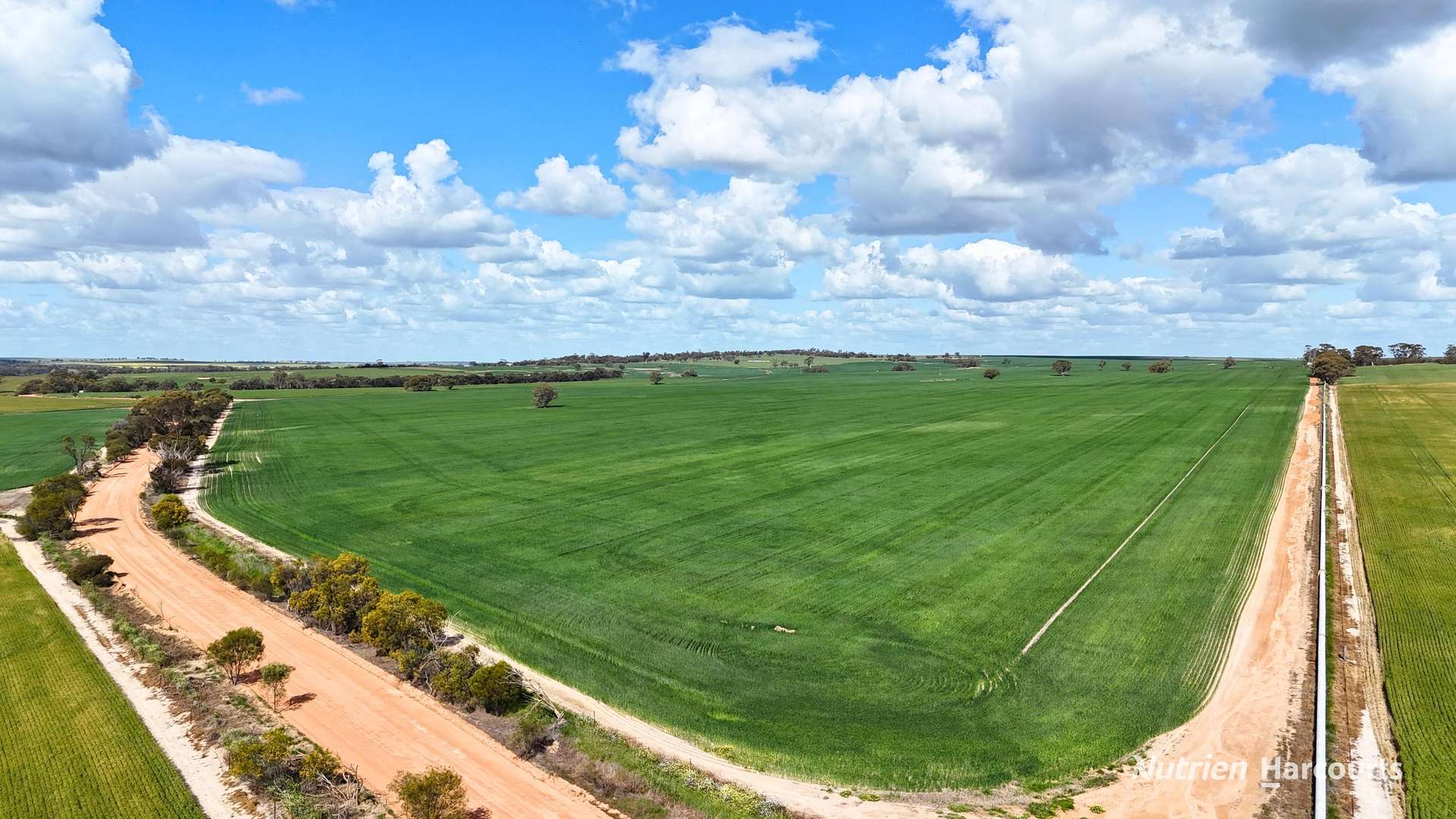 "Mirrabinda" Lot 3882 Brooksbank Road, Cunjardine Auction by Farmbuy.com - image 6