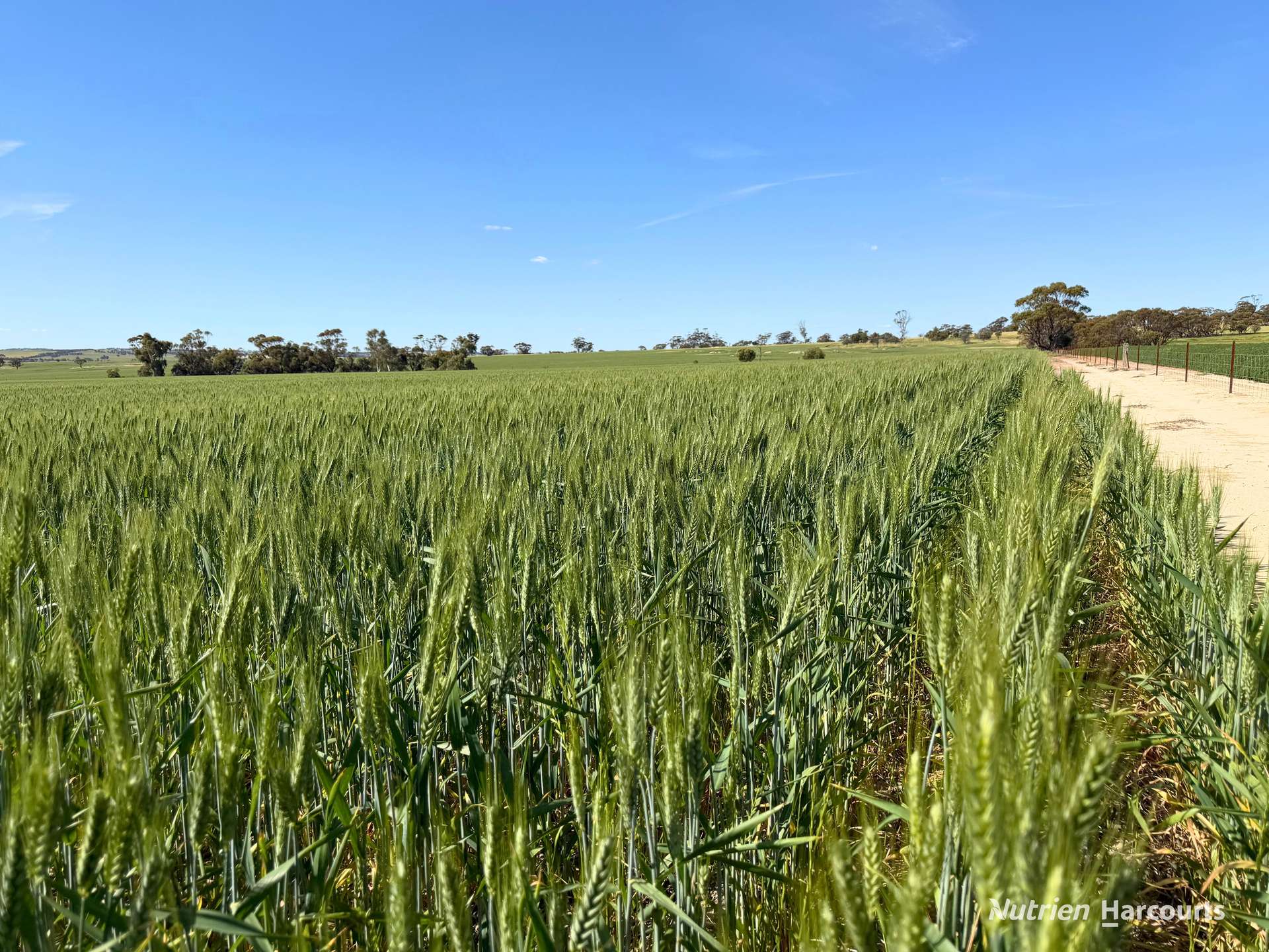 "Mirrabinda" Lot 3882 Brooksbank Road, Cunjardine Auction by Farmbuy.com - image 11