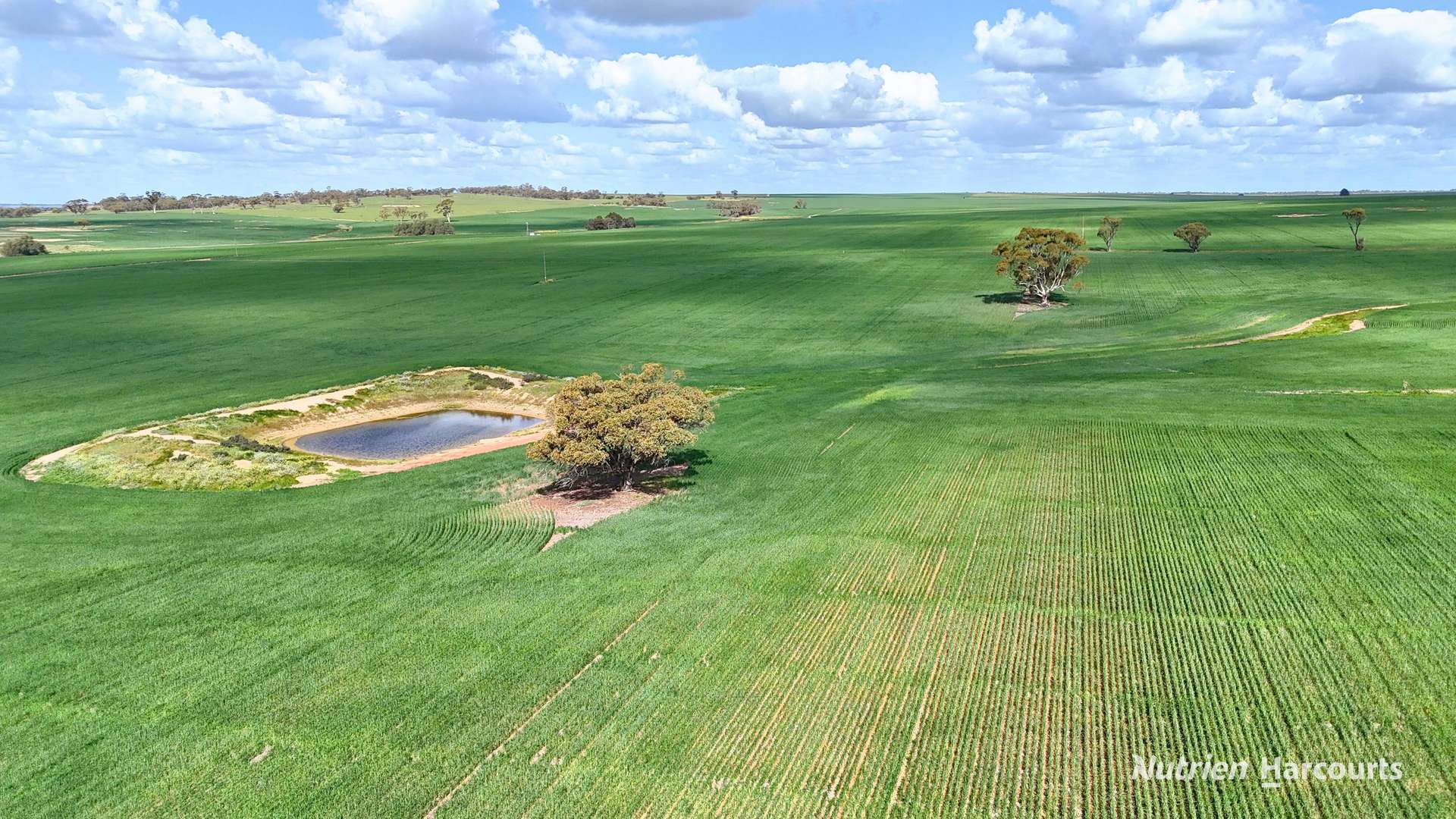 "Mirrabinda" Lot 3882 Brooksbank Road, Cunjardine Auction by Farmbuy.com - image 10