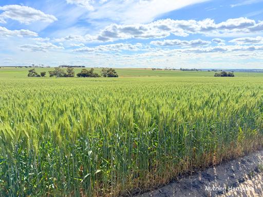 "Mirrabinda" Lot 3882 Brooksbank Road, Cunjardine WA 6401