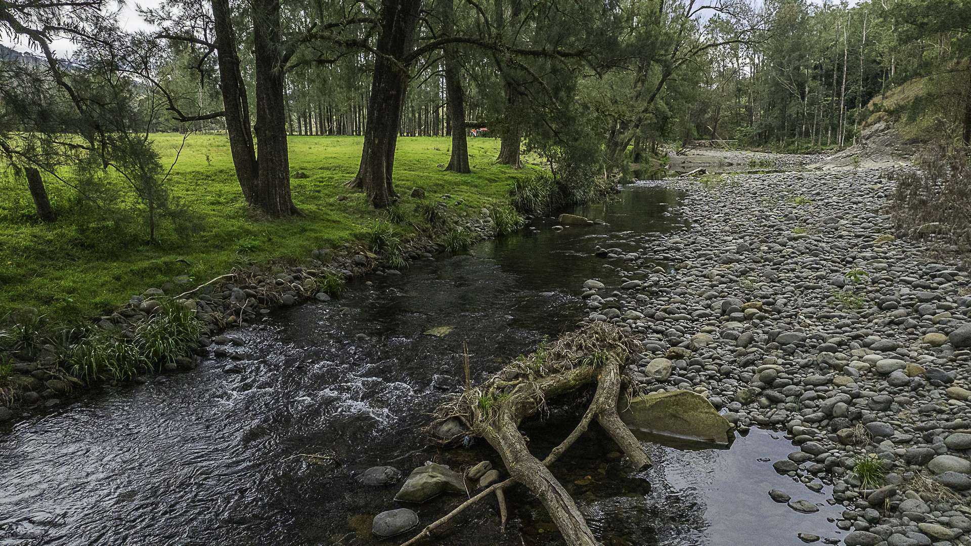 2601 Allyn River Road, Eccleston For Sale by Farmbuy.com - image 2