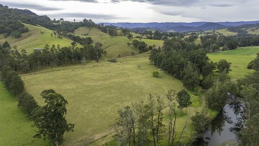 Farm For Sale - NSW - Eccleston - 2311 - 224 Acres | Approx. 500m Allyn River Frontage | DA Approved | Exceptional Infrastructure 