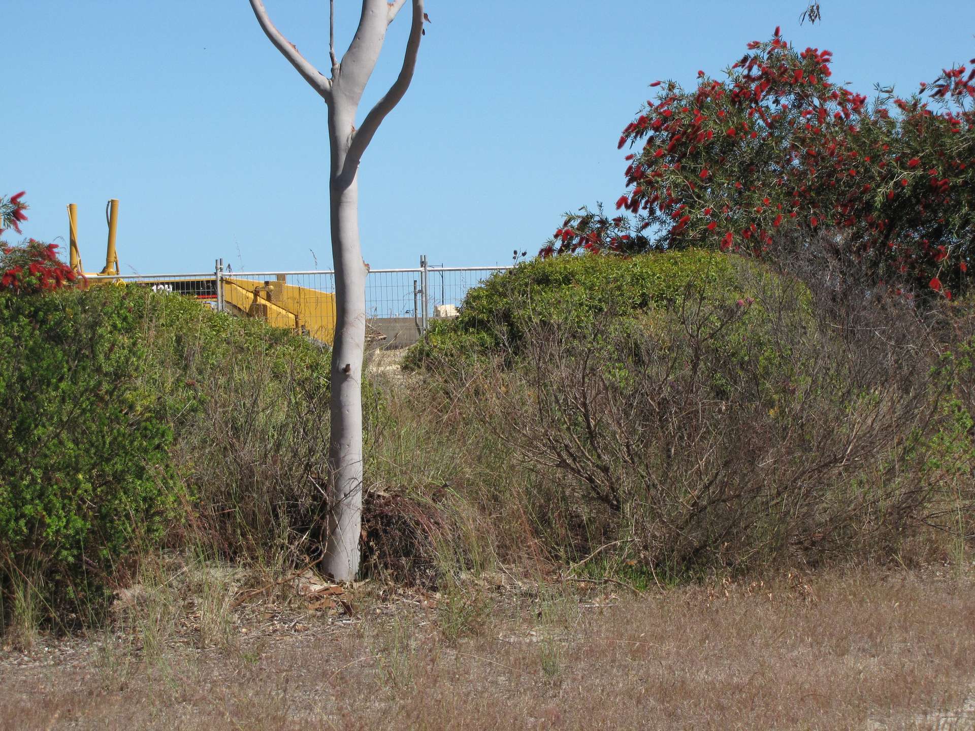 32 Griffiths Road, Wanneroo For Sale by Farmbuy.com - image 12