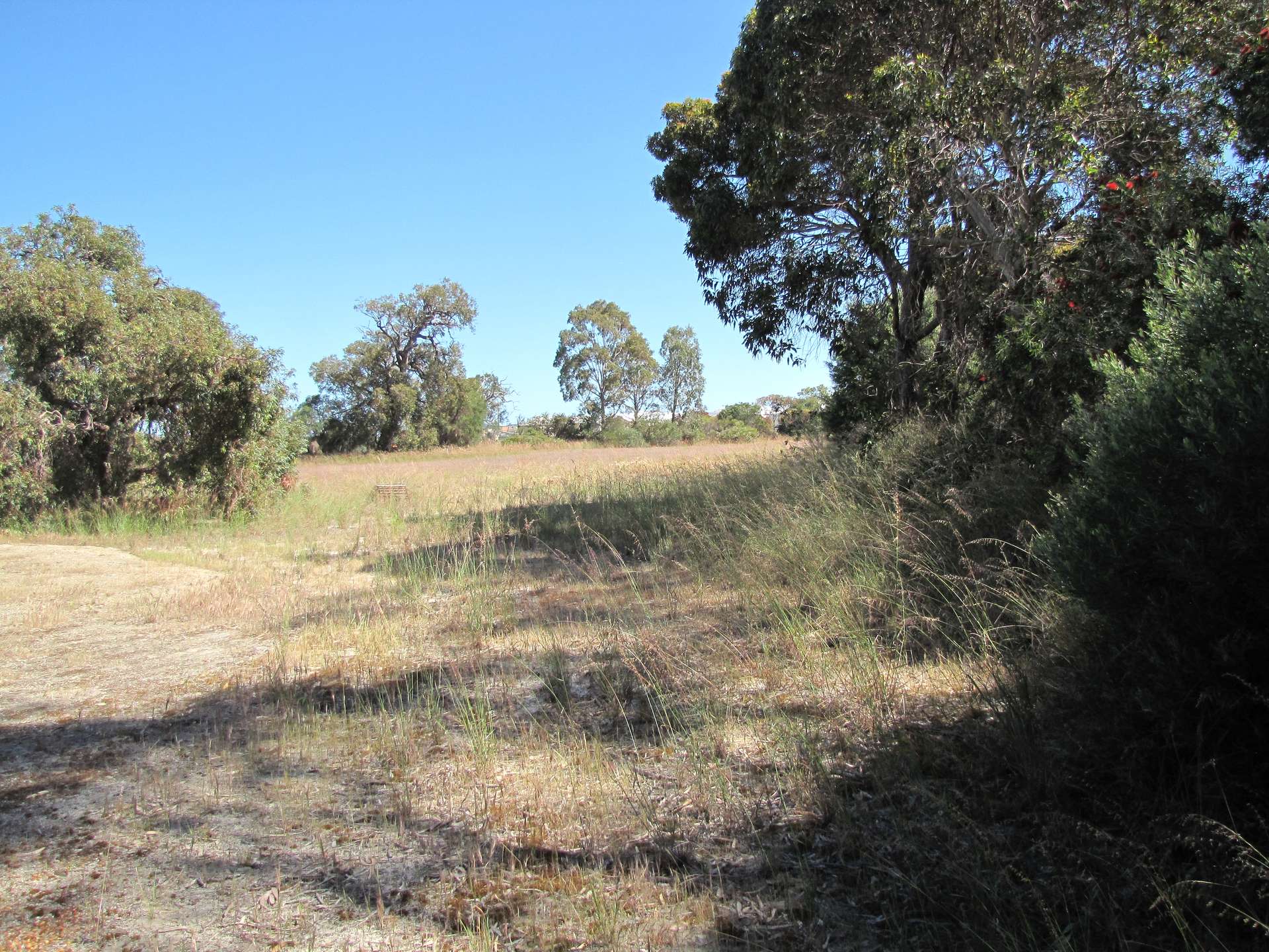 32 Griffiths Road, Wanneroo For Sale by Farmbuy.com - image 6