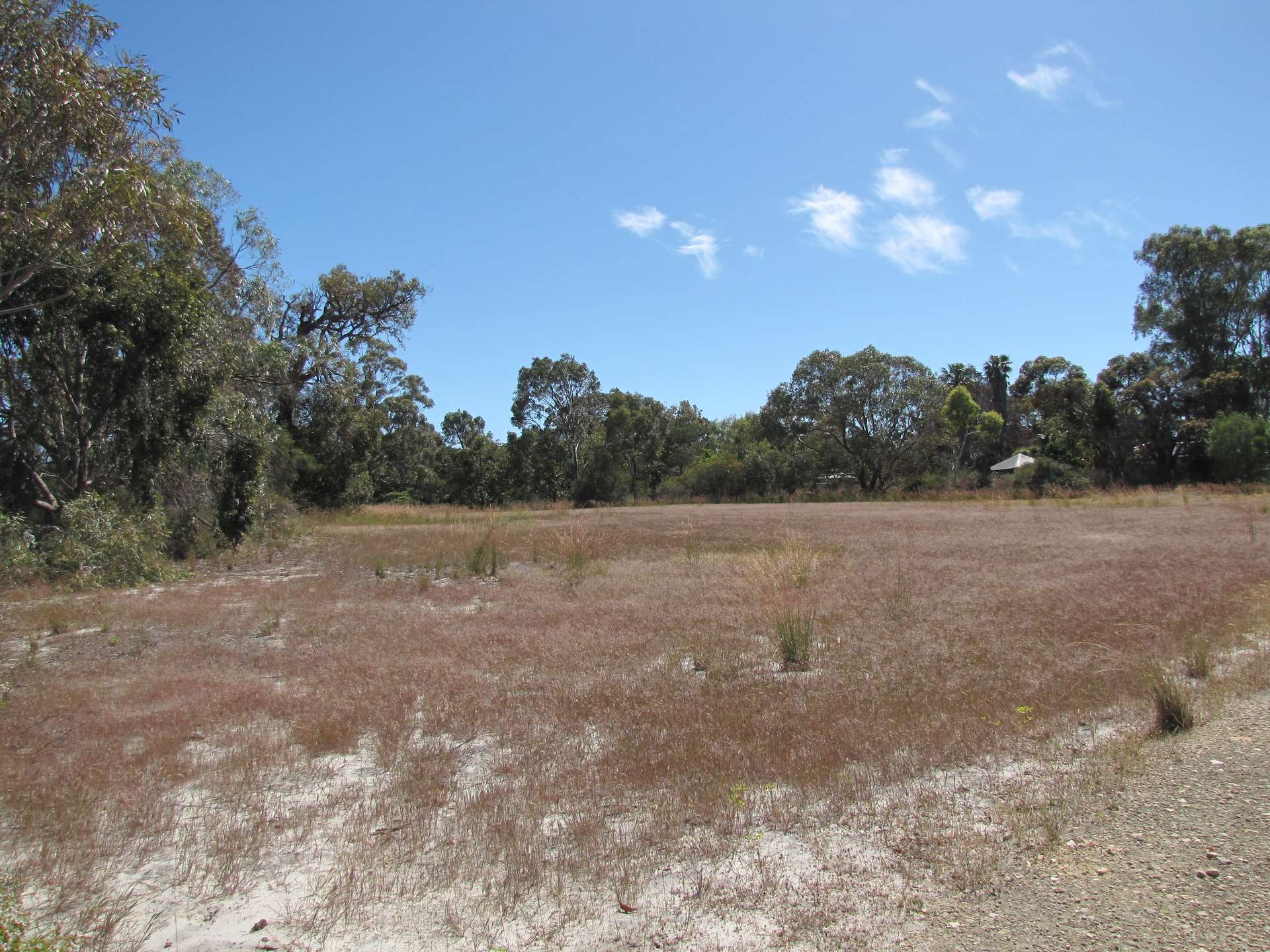 32 Griffiths Road, Wanneroo For Sale by Farmbuy.com - image 3