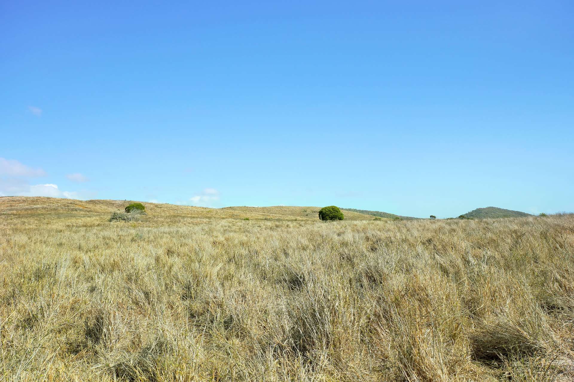 " Langham ", Stanage For Sale by Farmbuy.com - image 24