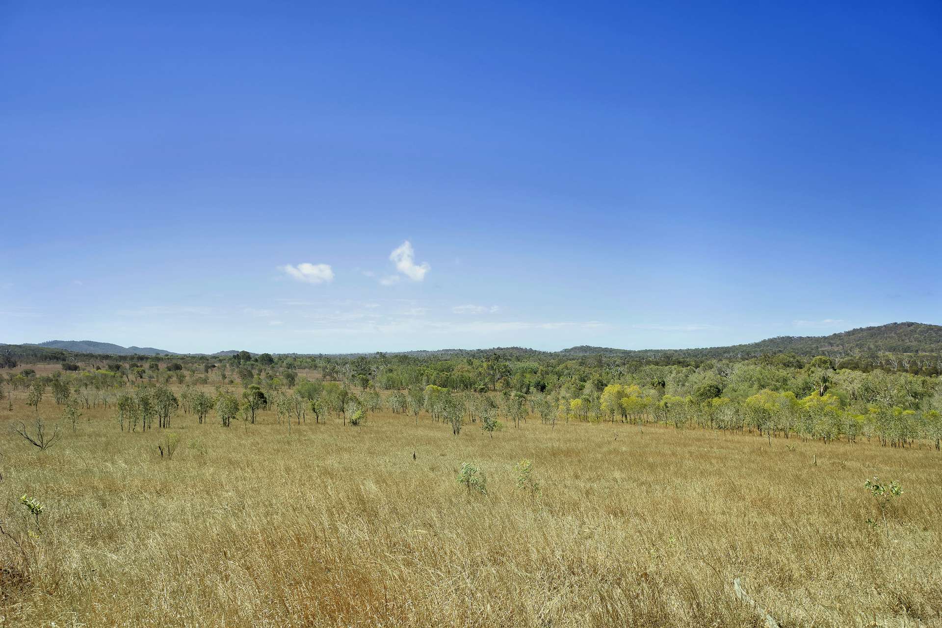 " Langham ", Stanage For Sale by Farmbuy.com - image 19