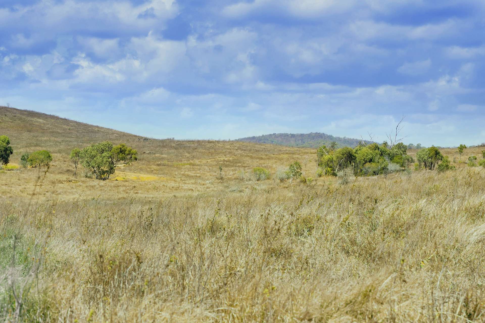 " Langham ", Stanage For Sale by Farmbuy.com - image 10